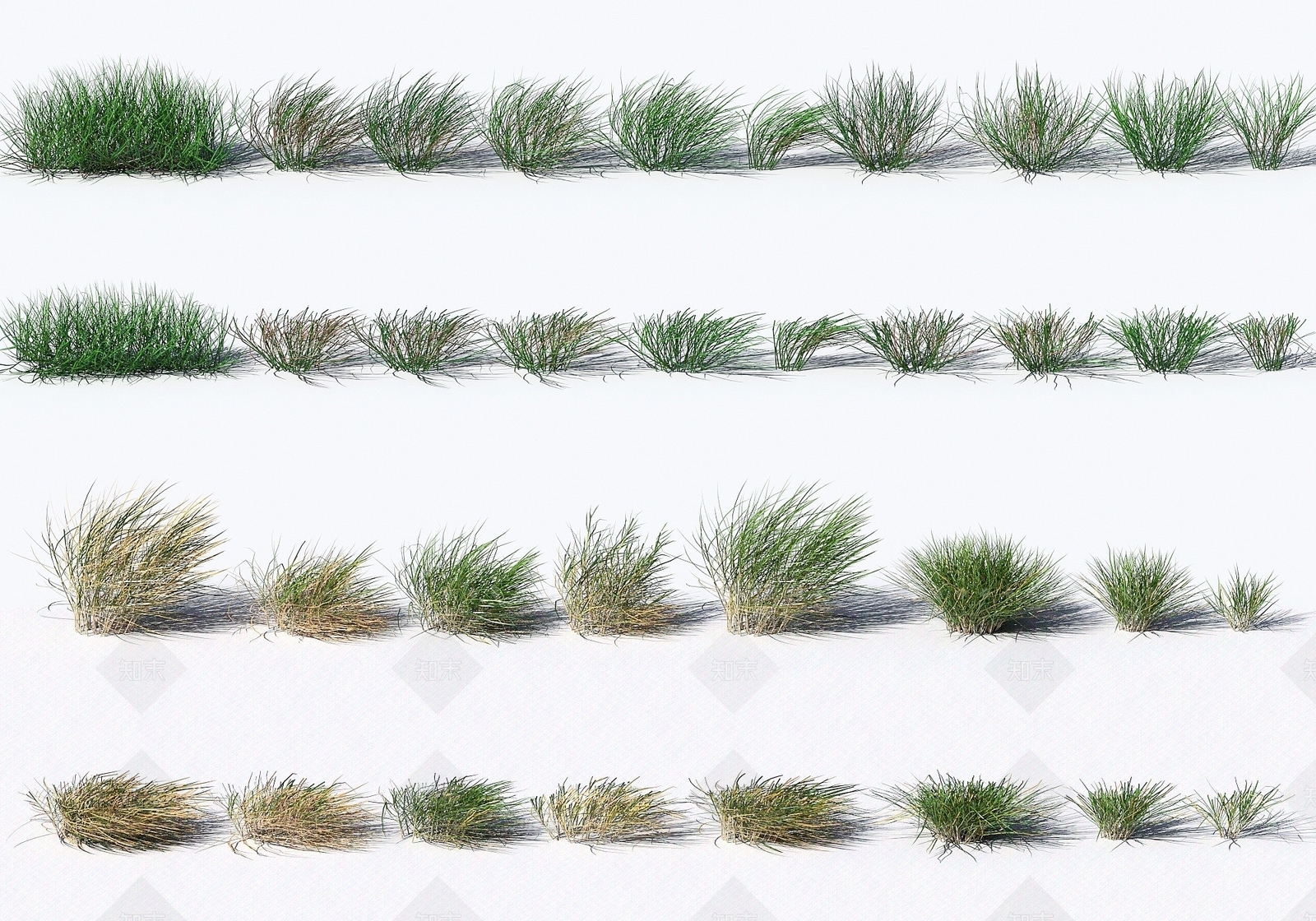 现代植物花草合集3D模型下载【ID:1194076493】