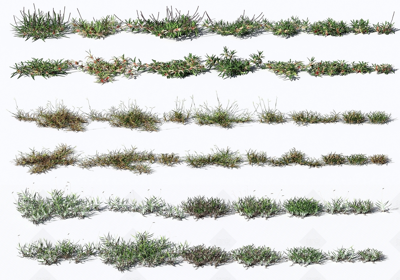 现代植物花草合集3D模型下载【ID:1194076477】