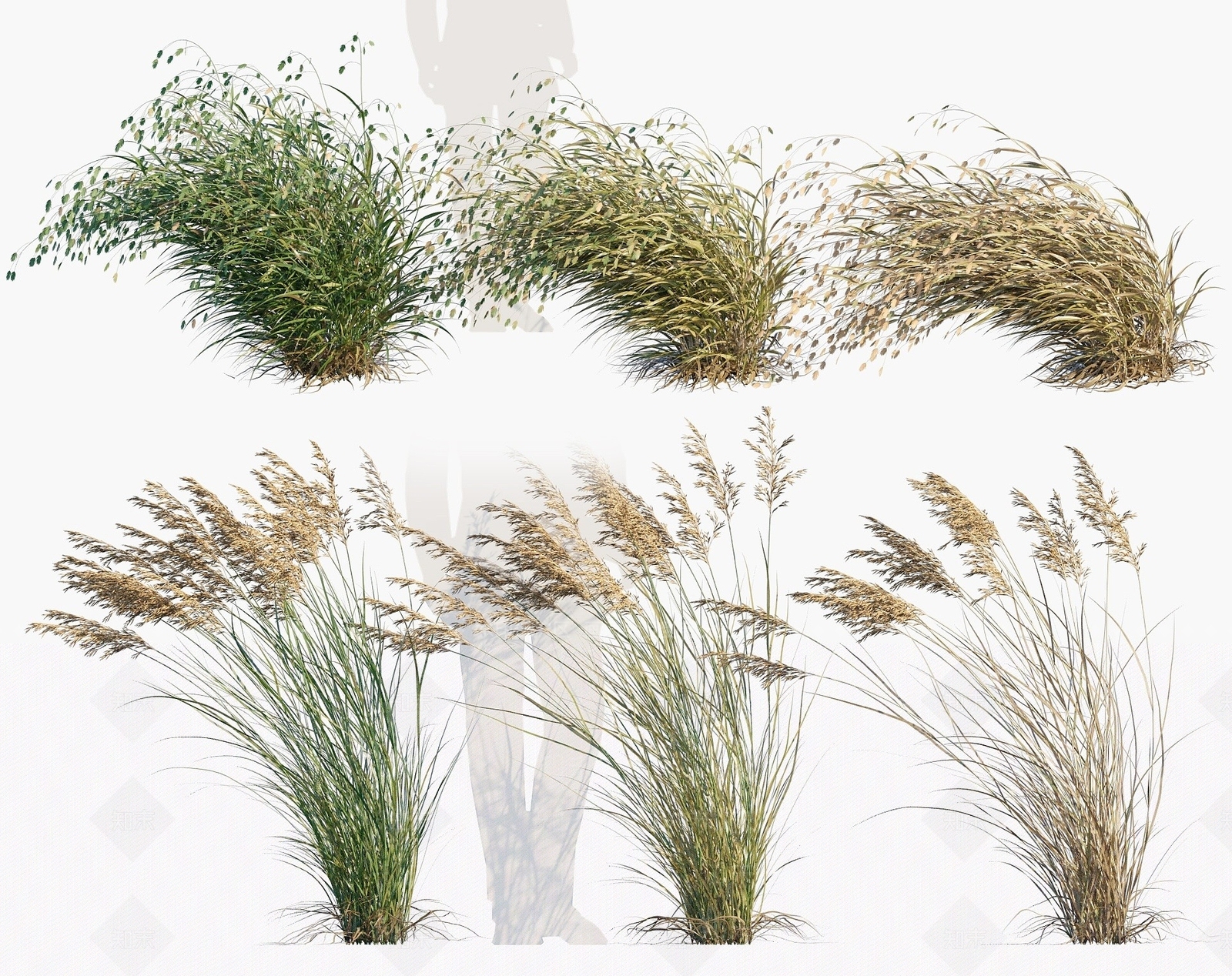 现代植物3D模型下载【ID:1194077412】