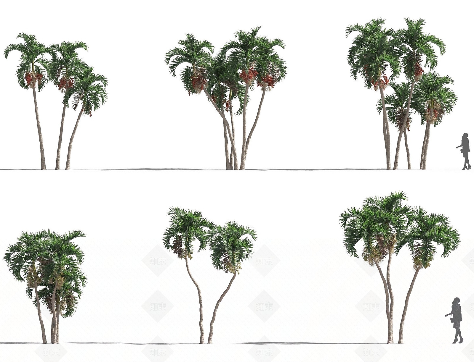 现代植物树木圣诞椰3D模型下载【ID:1194077755】