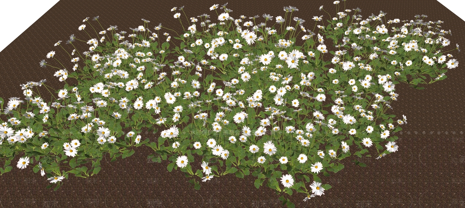 花草SU模型下载【ID:1194123366】