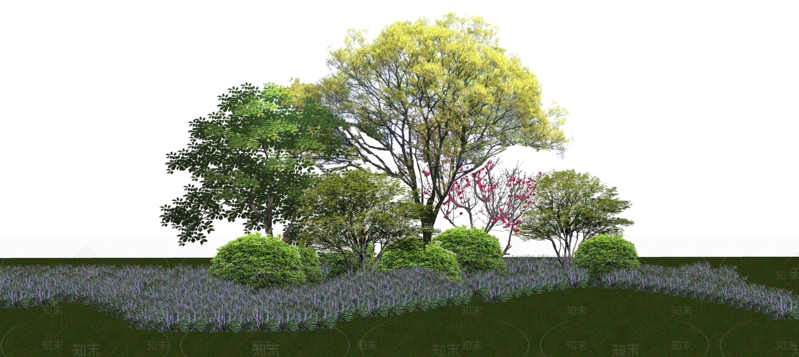 植物组合SU模型下载【ID:1194129001】