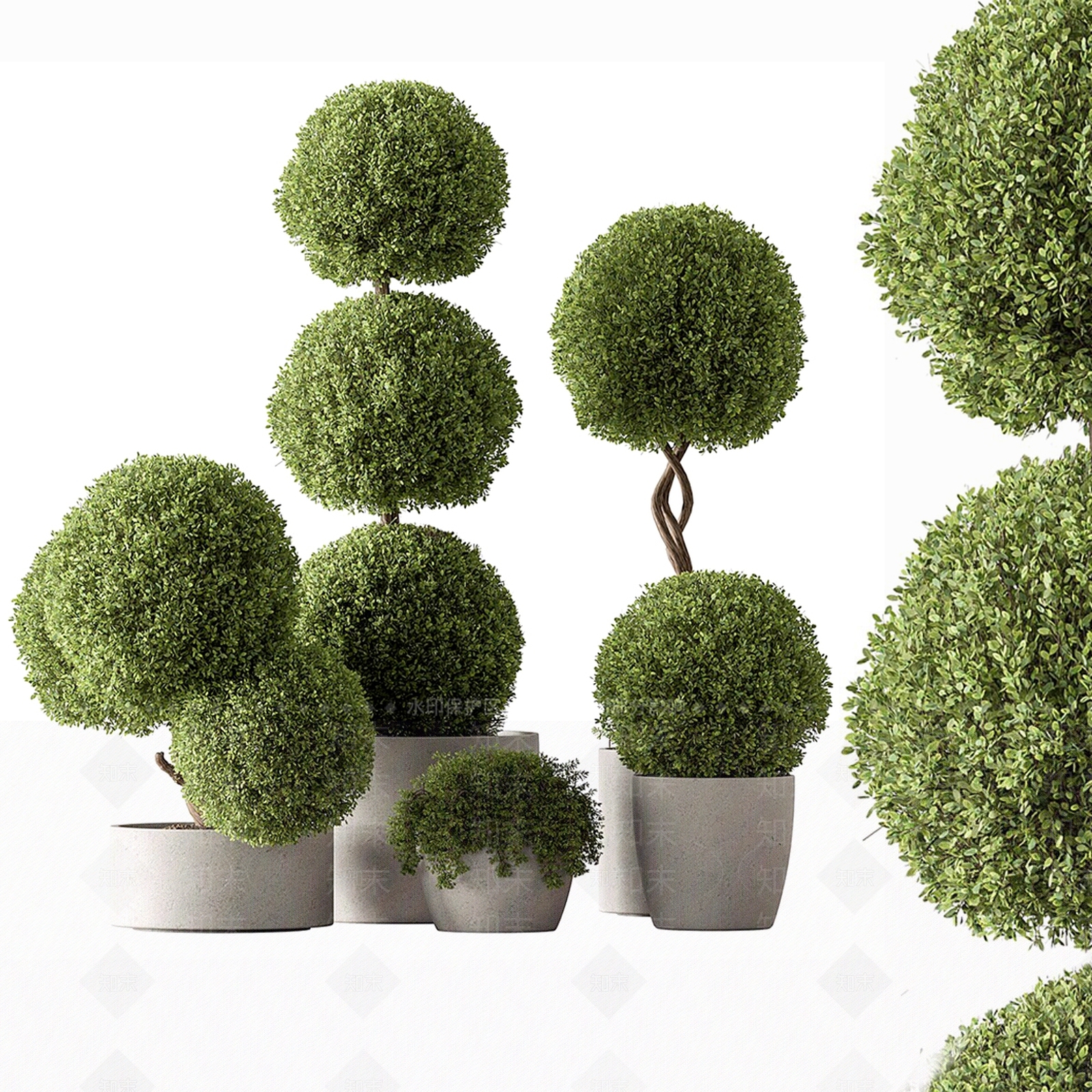 盆景3D模型下载【ID:1194172249】