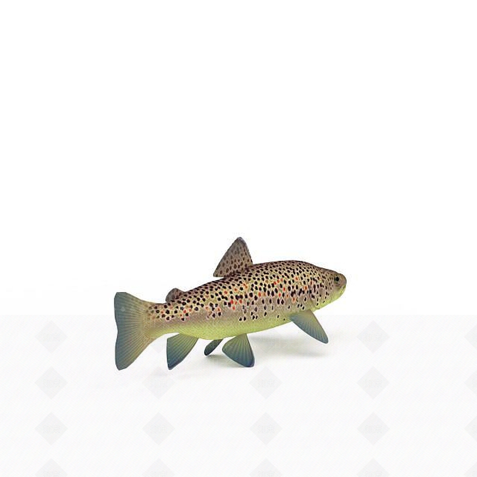 现代爬行类动物3D模型下载【ID:1194177356】