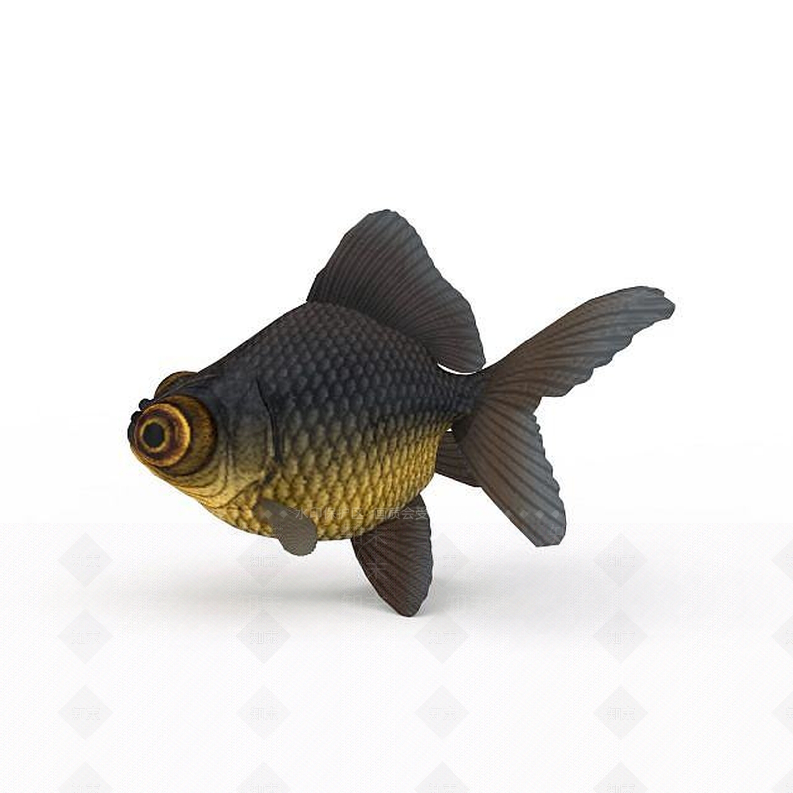 现代爬行类动物3D模型下载【ID:1194177368】