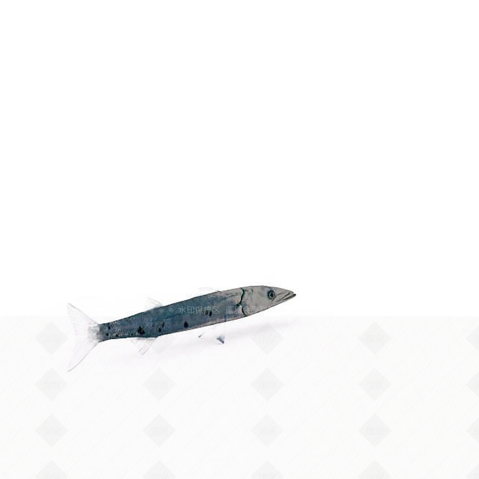 现代爬行类动物3D模型下载【ID:1194177379】