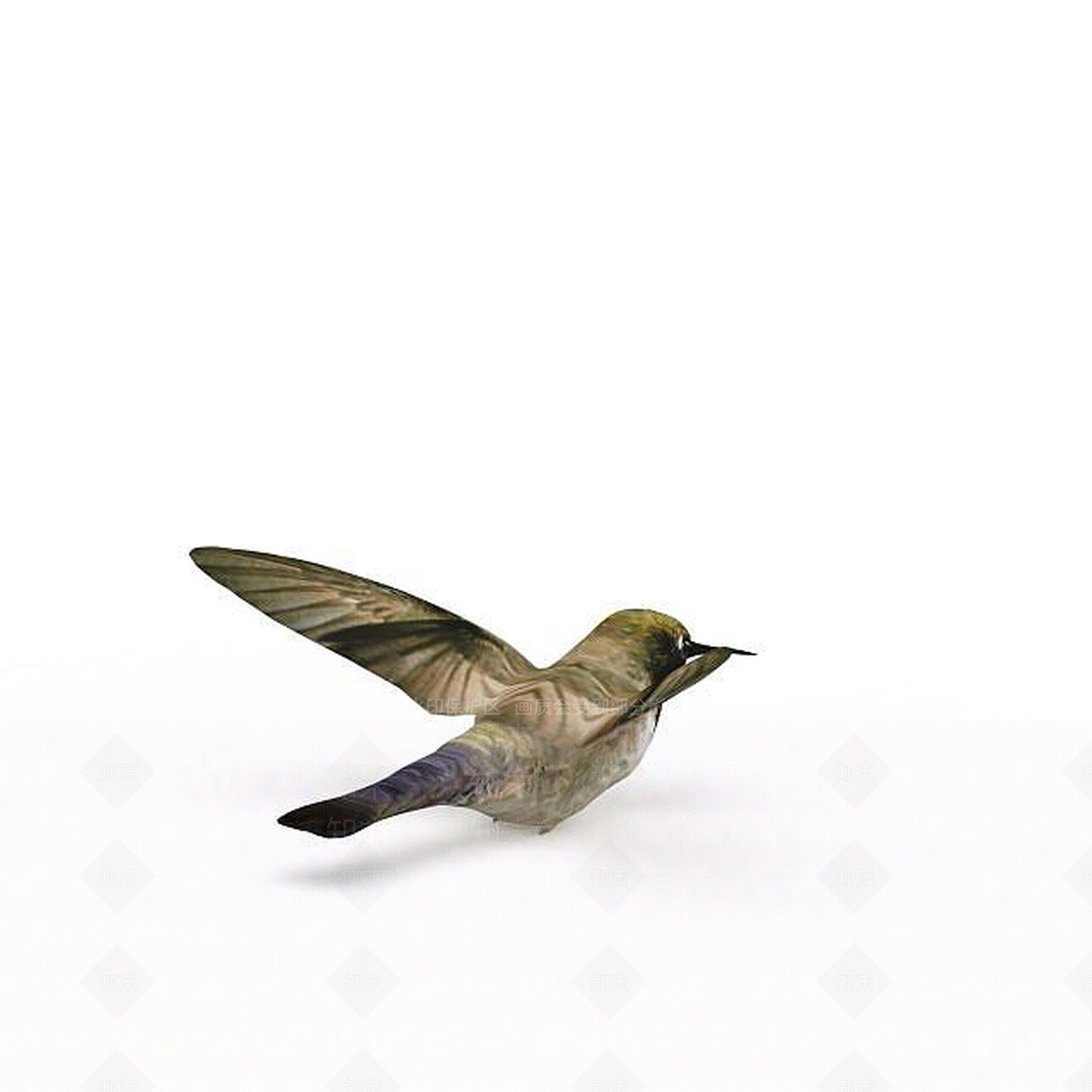 现代爬行类动物3D模型下载【ID:1194178381】