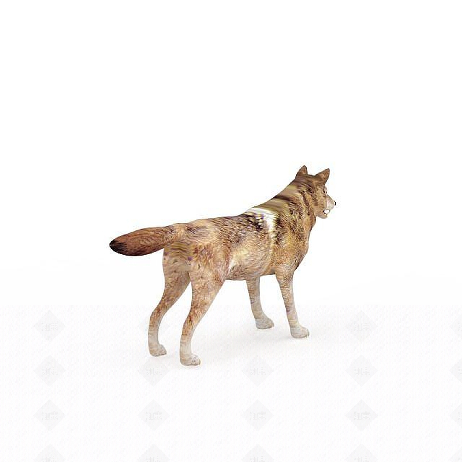 现代爬行类动物3D模型下载【ID:1199013195】
