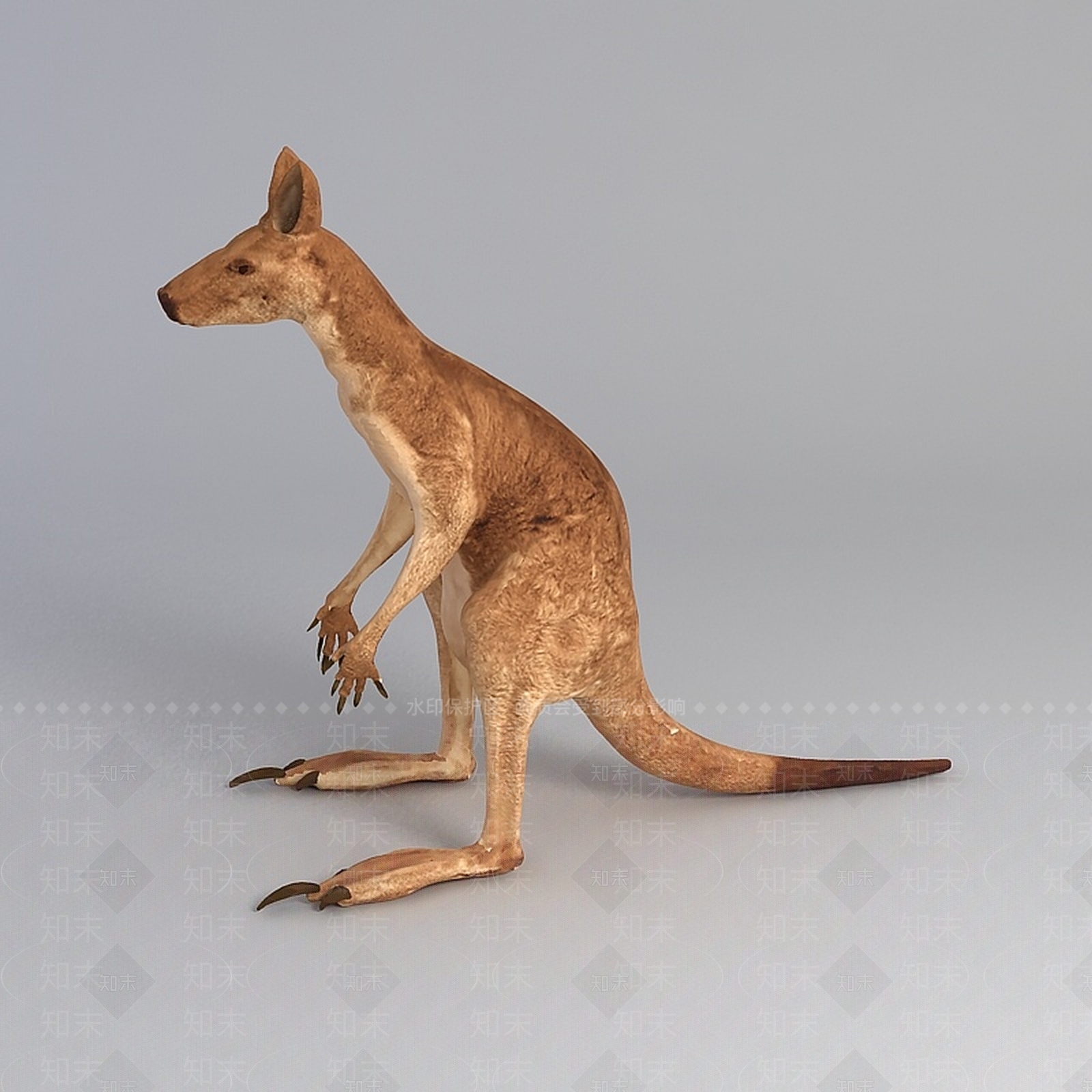 现代爬行类动物3D模型下载【ID:1194178328】