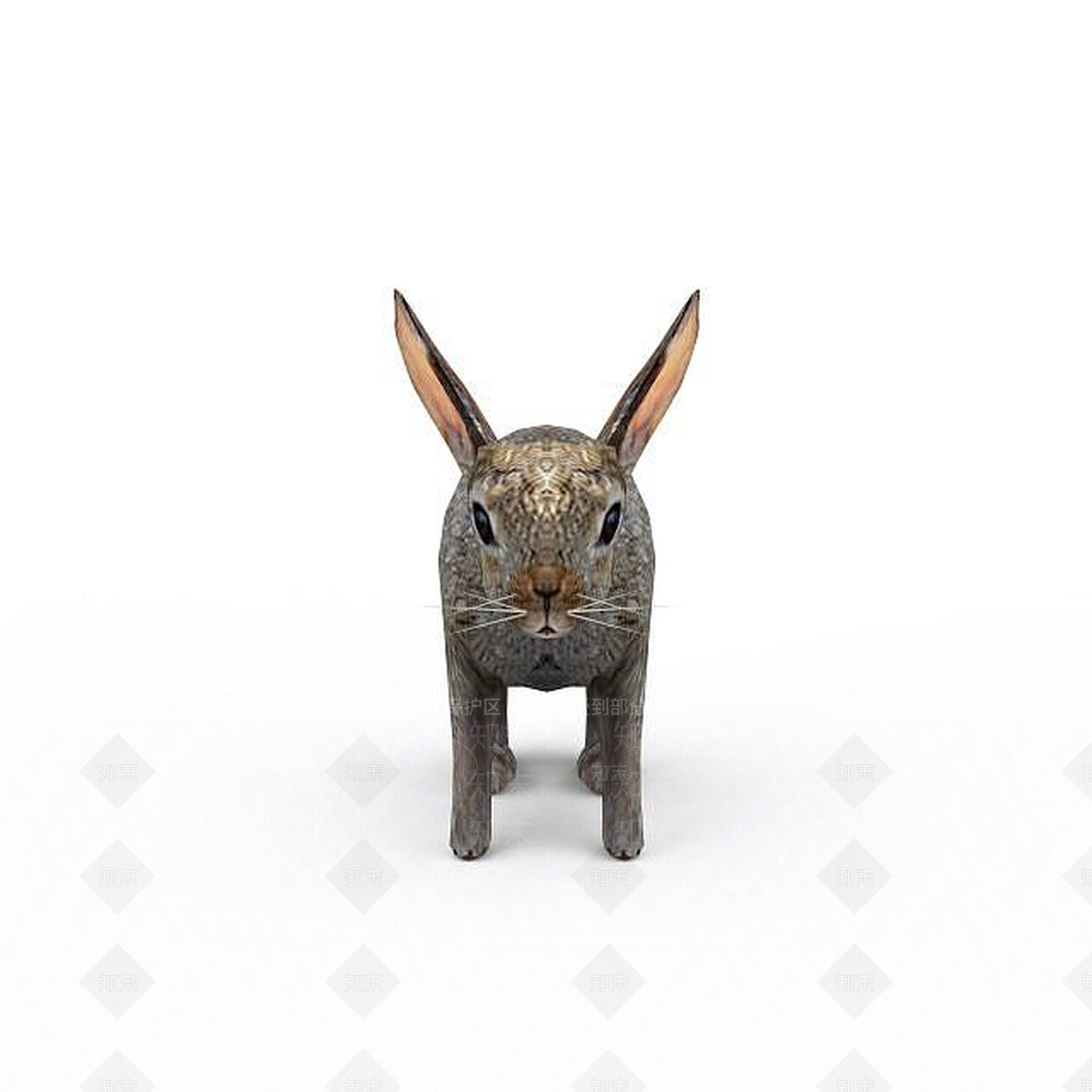 现代爬行类动物3D模型下载【ID:1194178490】