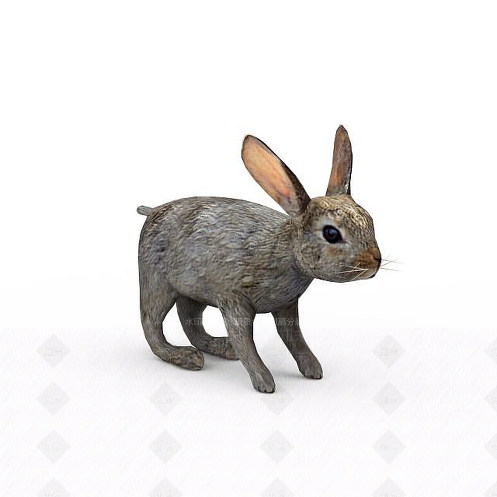 现代爬行类动物3D模型下载【ID:1194178490】