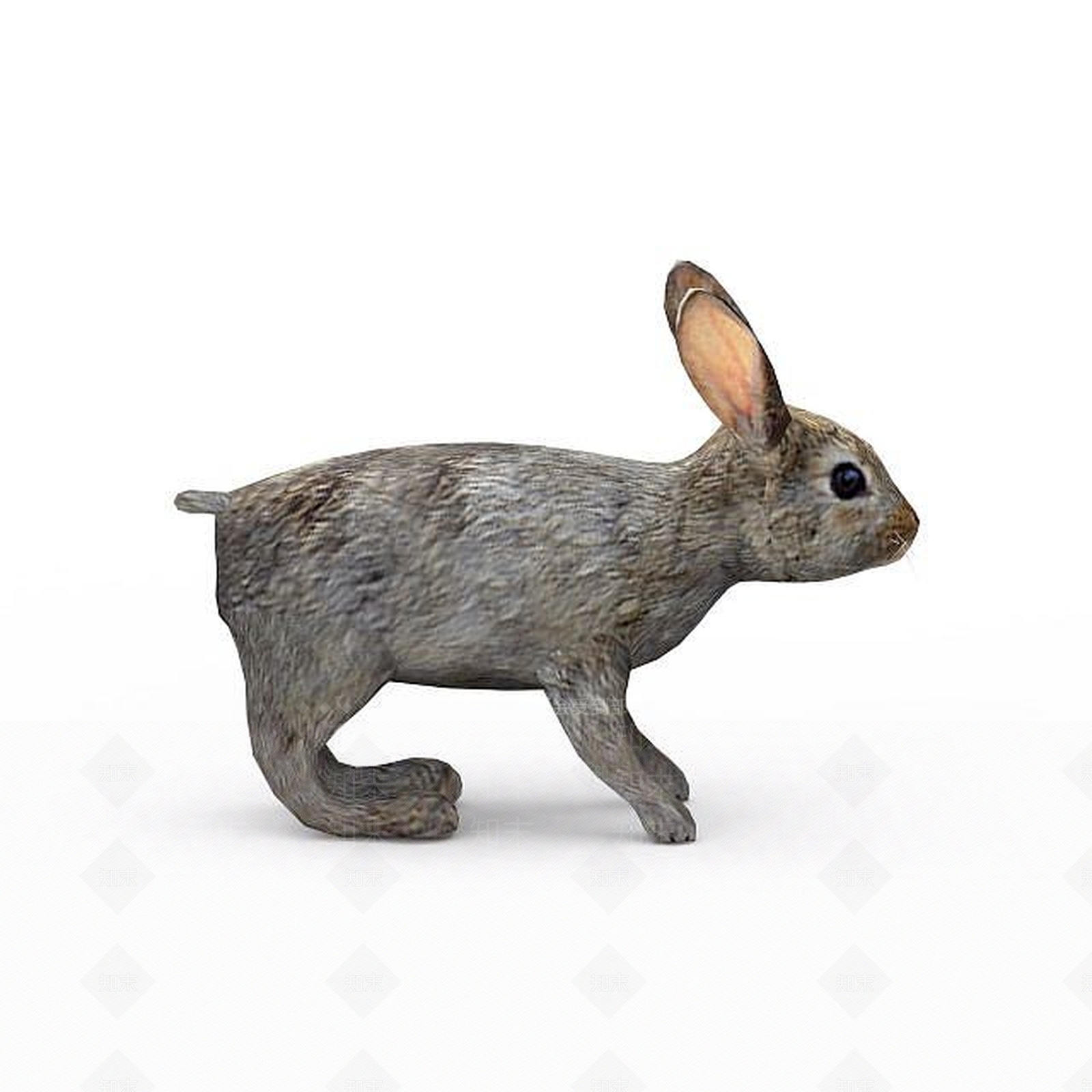 现代爬行类动物3D模型下载【ID:1194178490】
