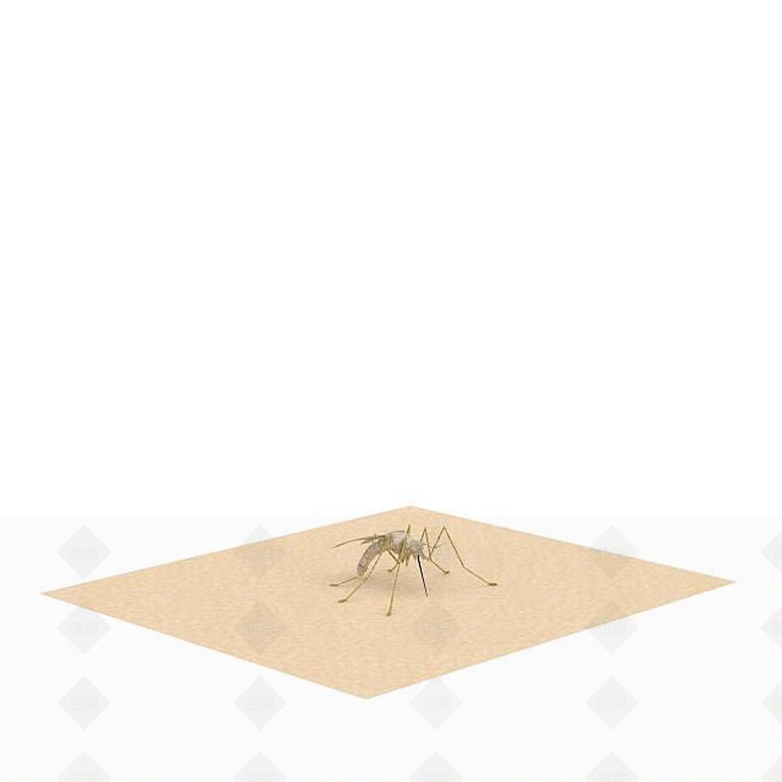 现代爬行类动物3D模型下载【ID:1194178455】