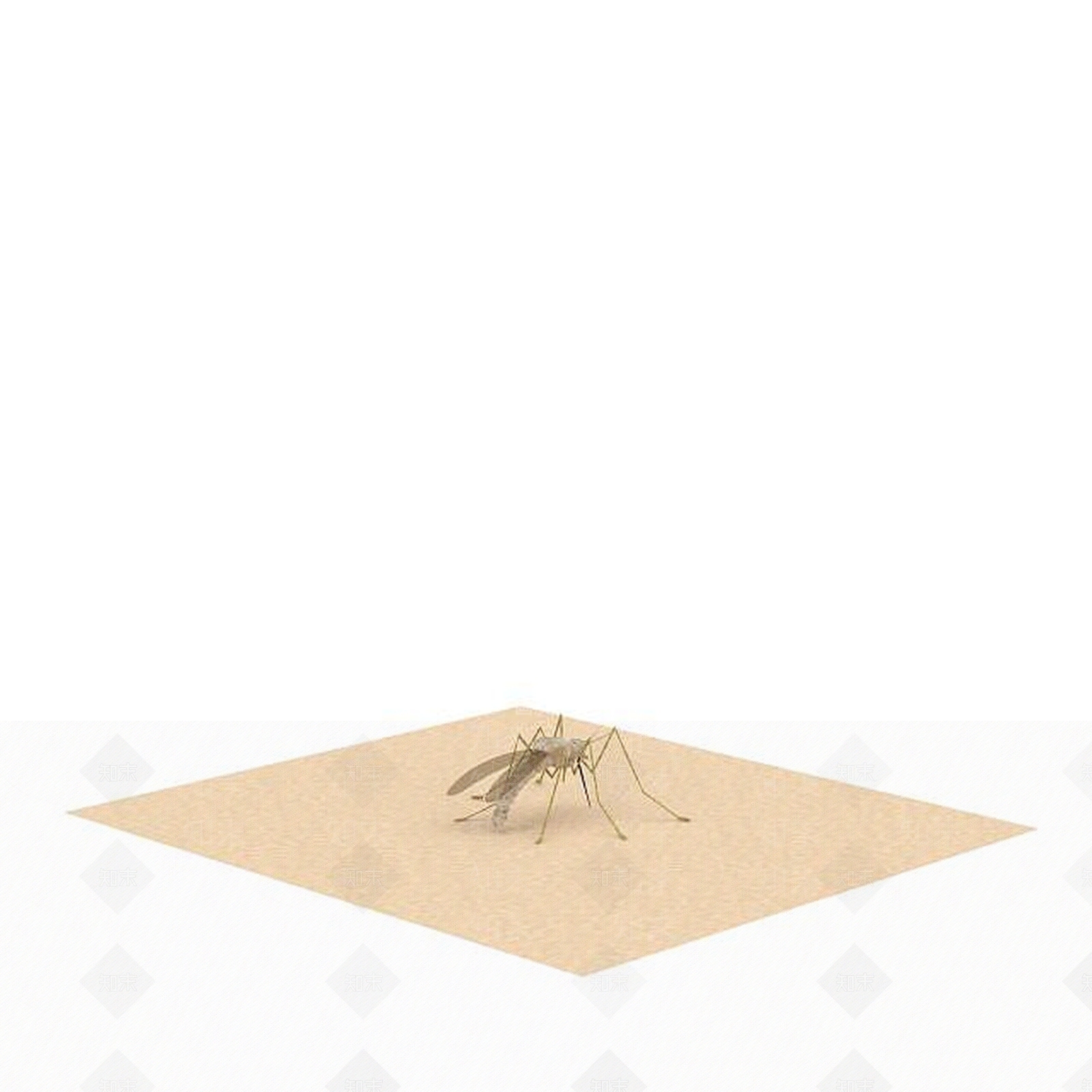 现代爬行类动物3D模型下载【ID:1194178455】