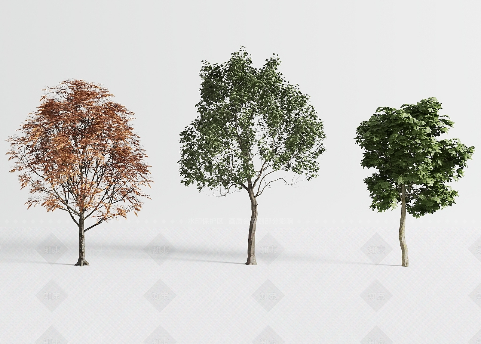 景观树3D模型下载【ID:1194190364】