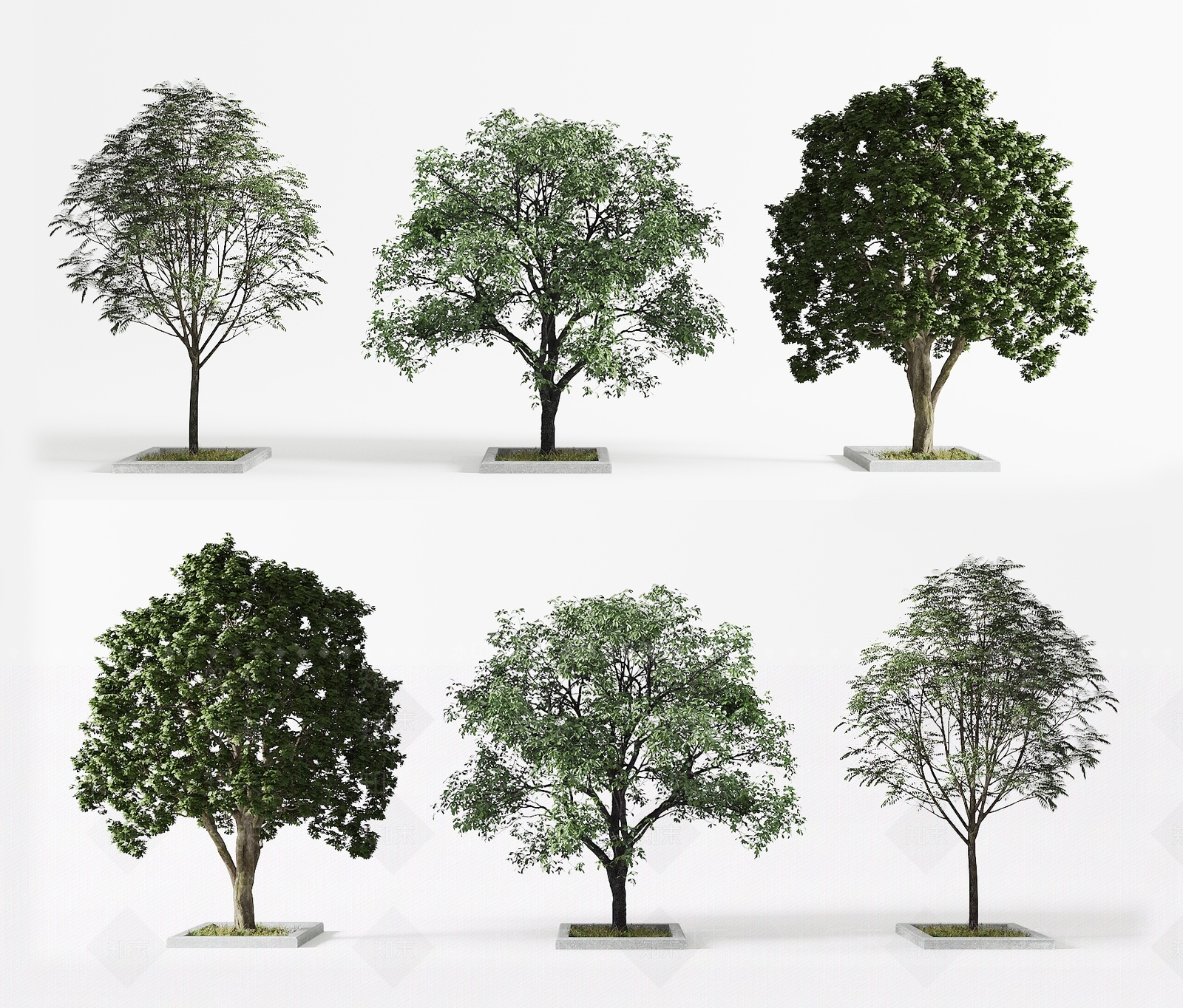 景观树3D模型下载【ID:1194190678】