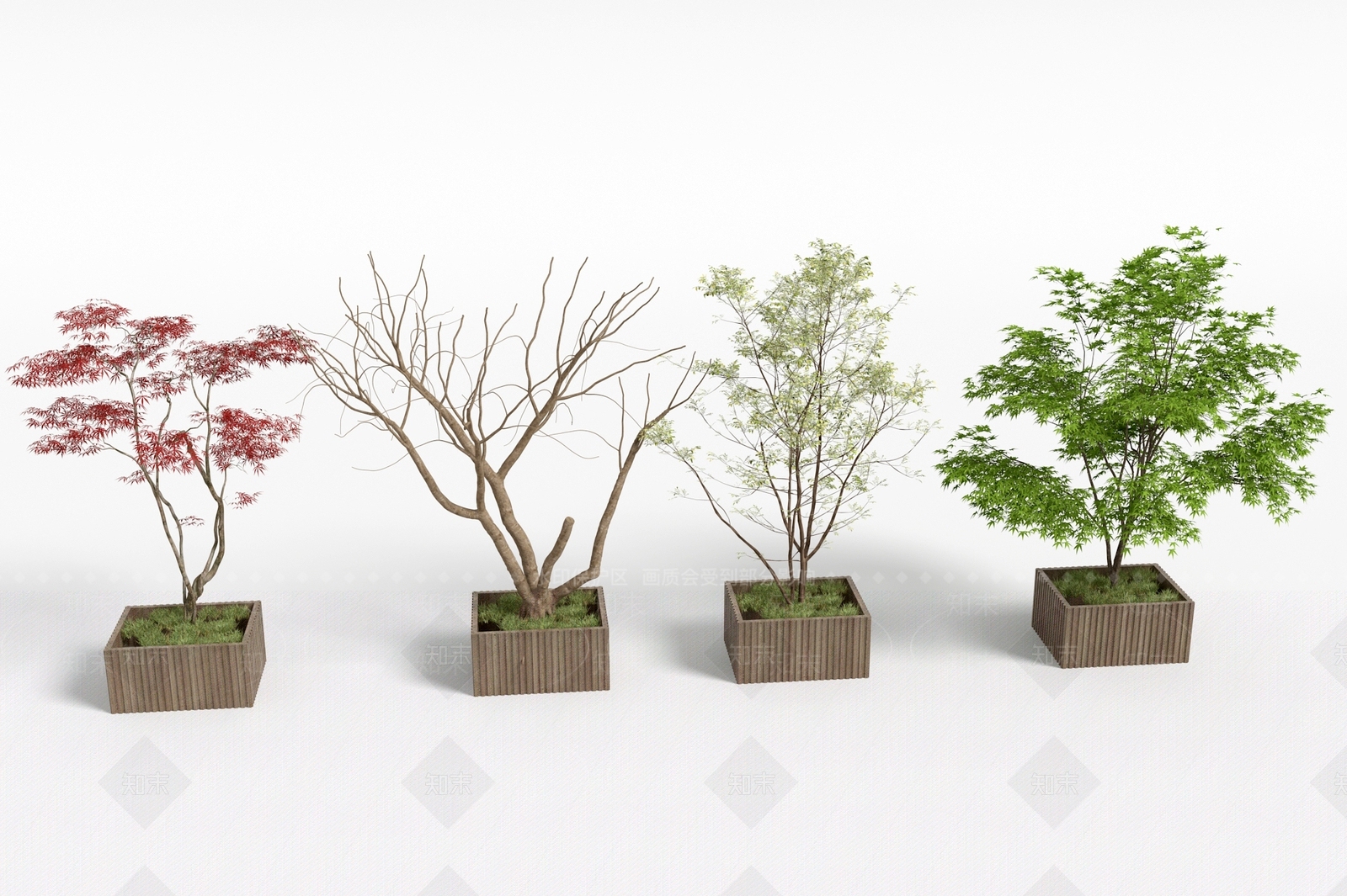 景观树3D模型下载【ID:1194202192】
