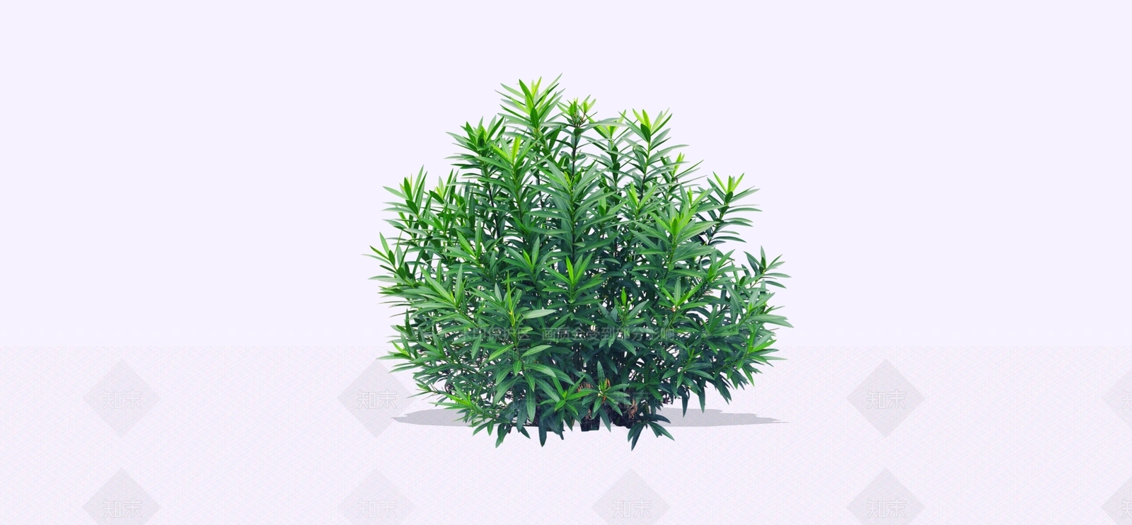 灌木SU模型下载【ID:1194214563】
