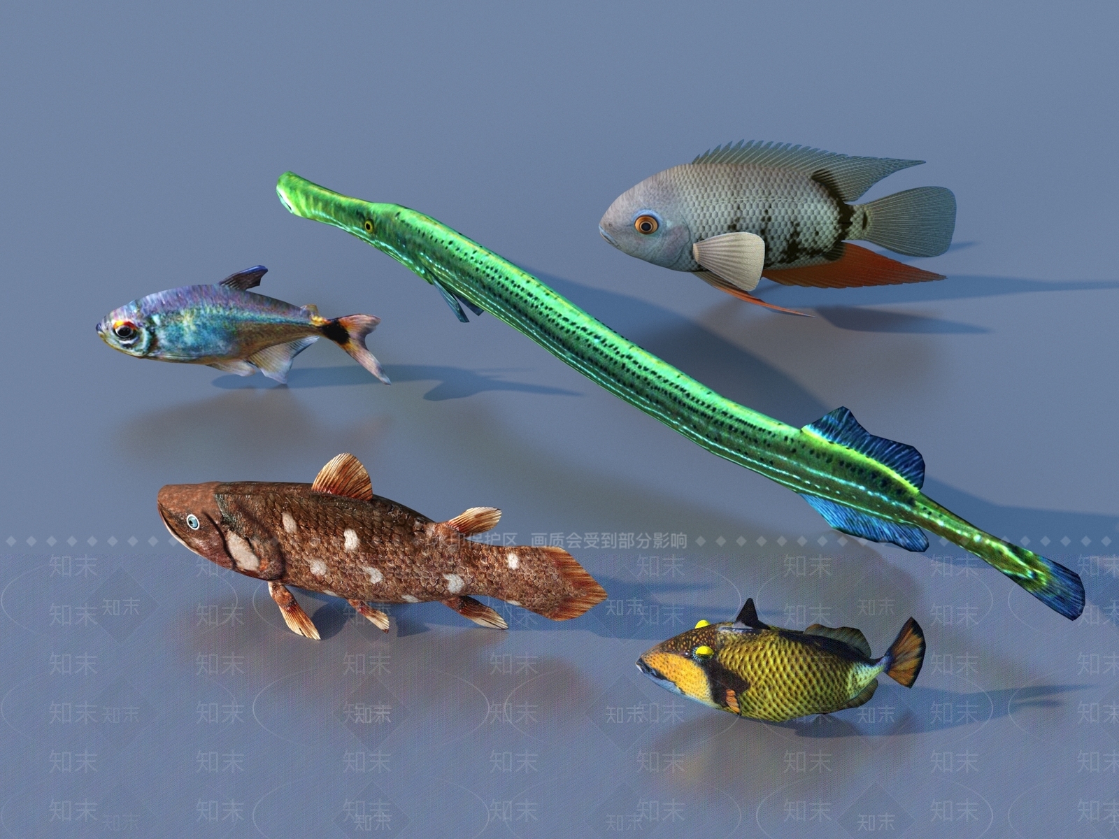 水生类动物3D模型下载【ID:1194265032】