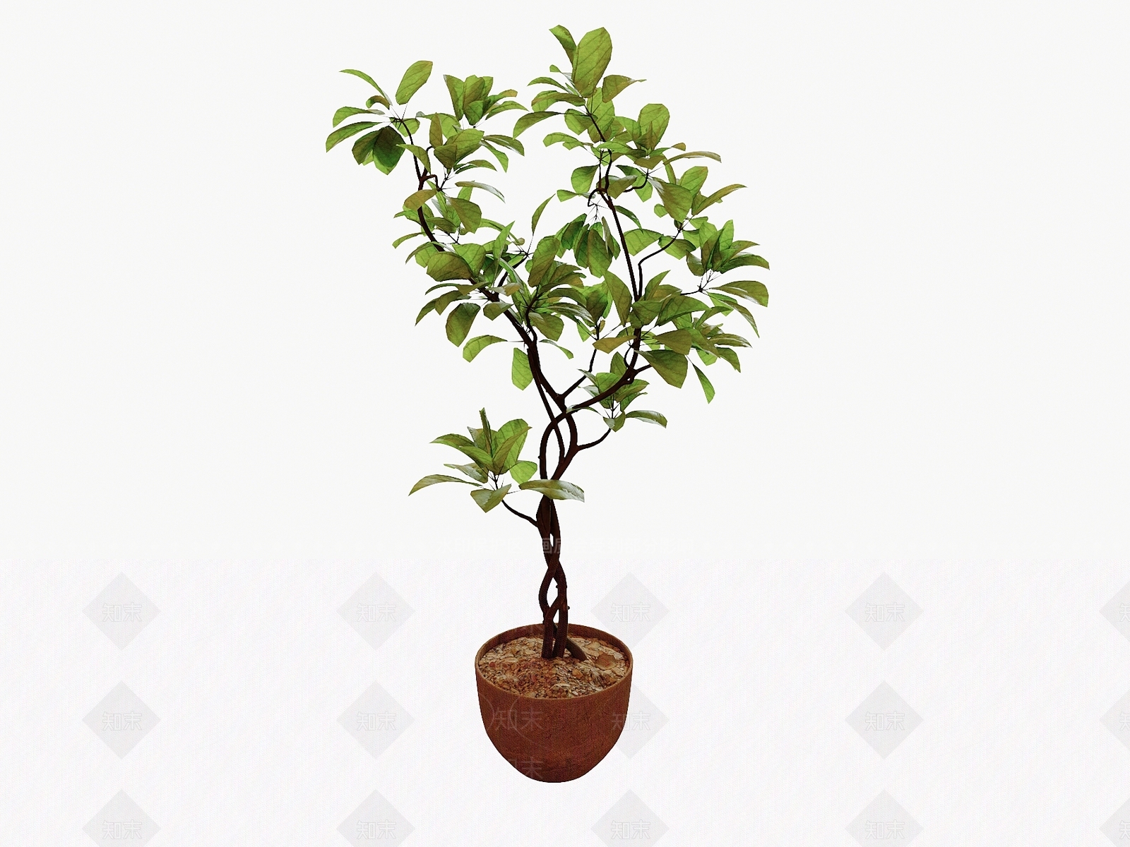 其他绿植3D模型下载【ID:1194269124】