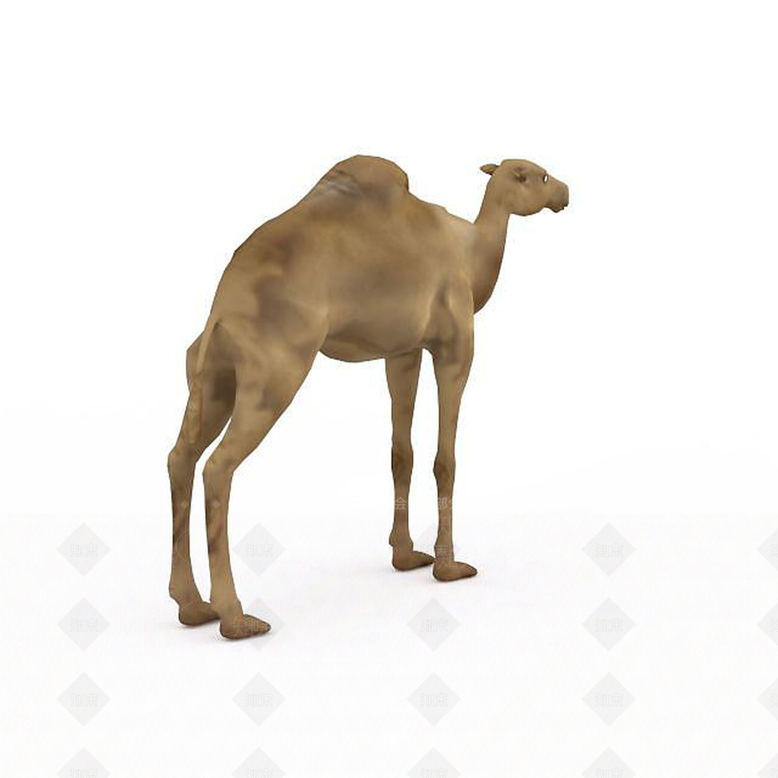 现代爬行类动物3D模型下载【ID:1198947975】