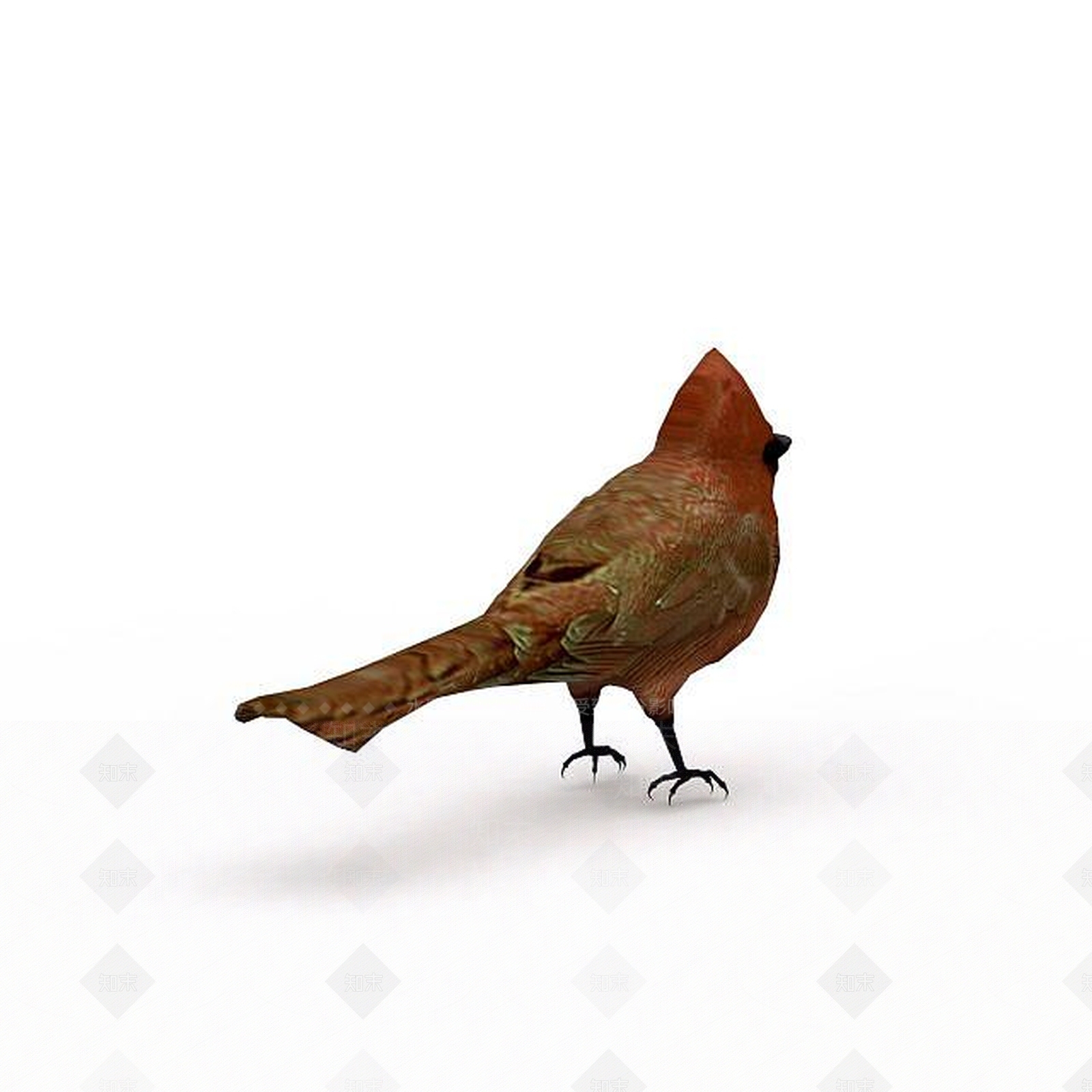 现代爬行类动物3D模型下载【ID:1199011189】