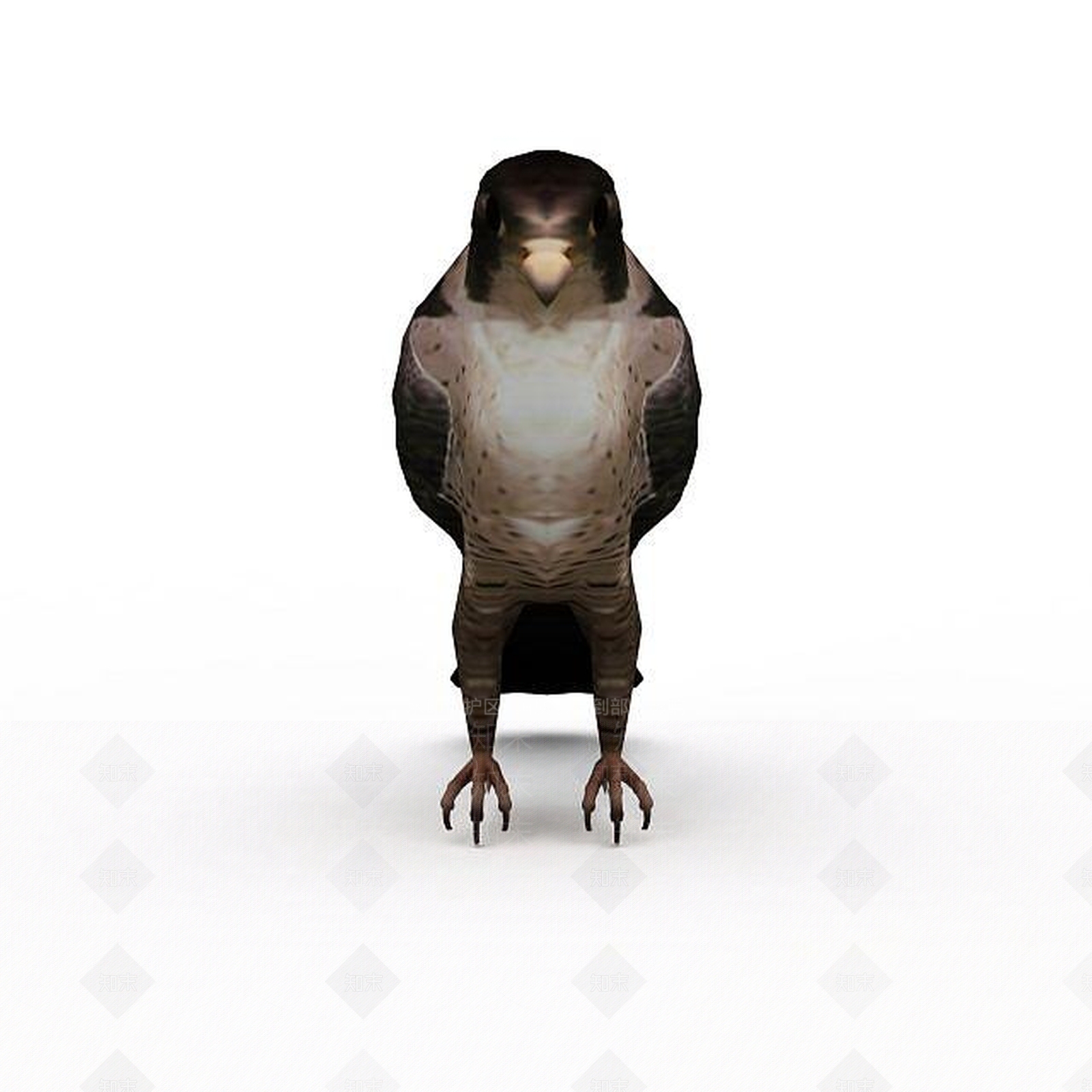 现代爬行类动物3D模型下载【ID:1198958653】