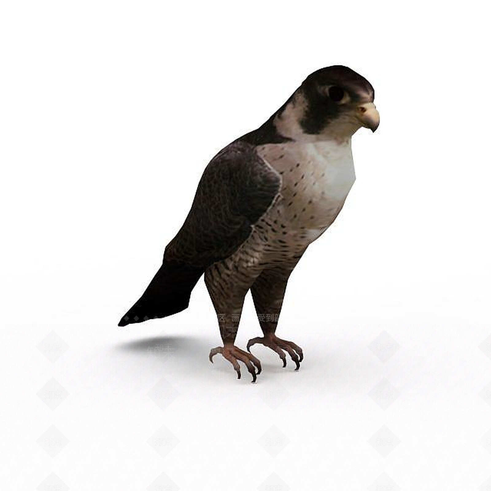 现代爬行类动物3D模型下载【ID:1198958653】