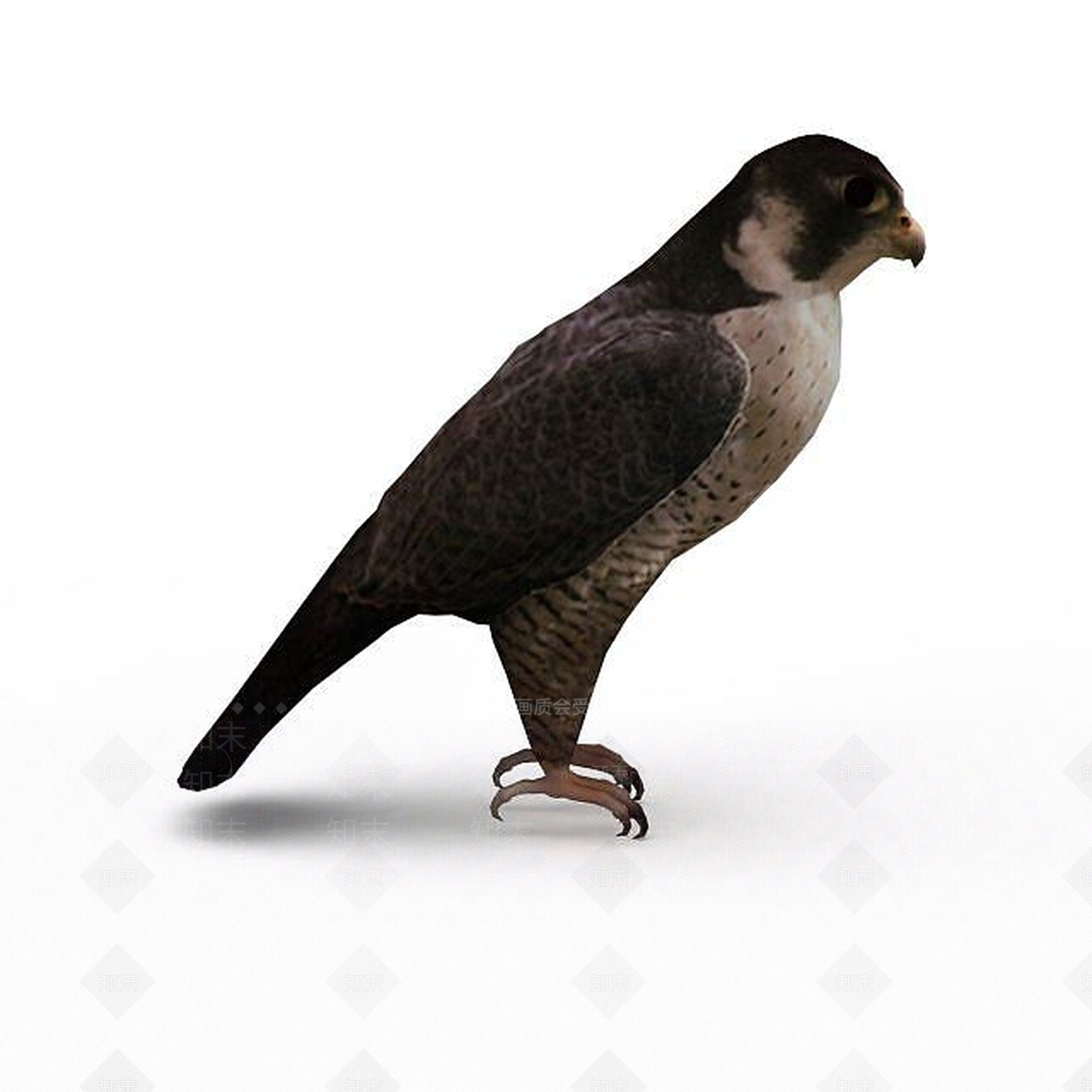 现代爬行类动物3D模型下载【ID:1198958653】