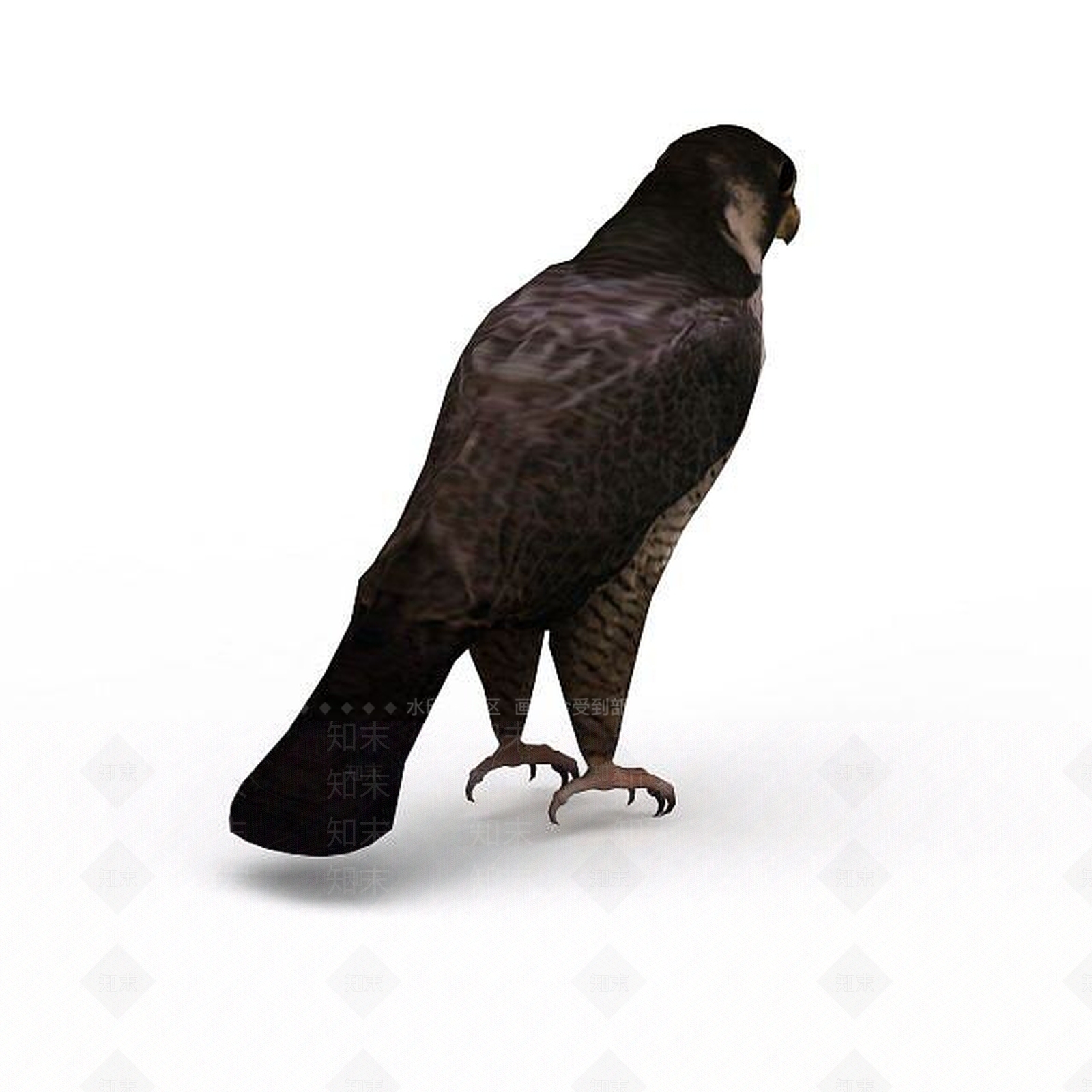 现代爬行类动物3D模型下载【ID:1198958653】