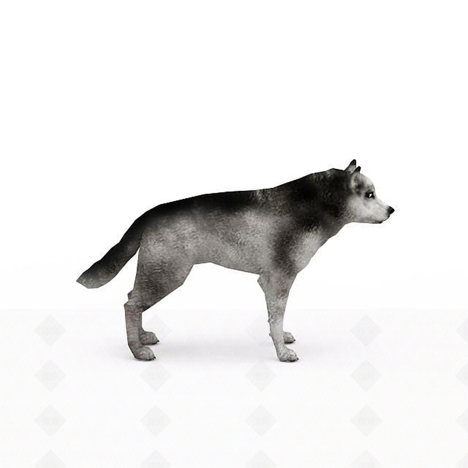 现代爬行类动物3D模型下载【ID:1198958597】