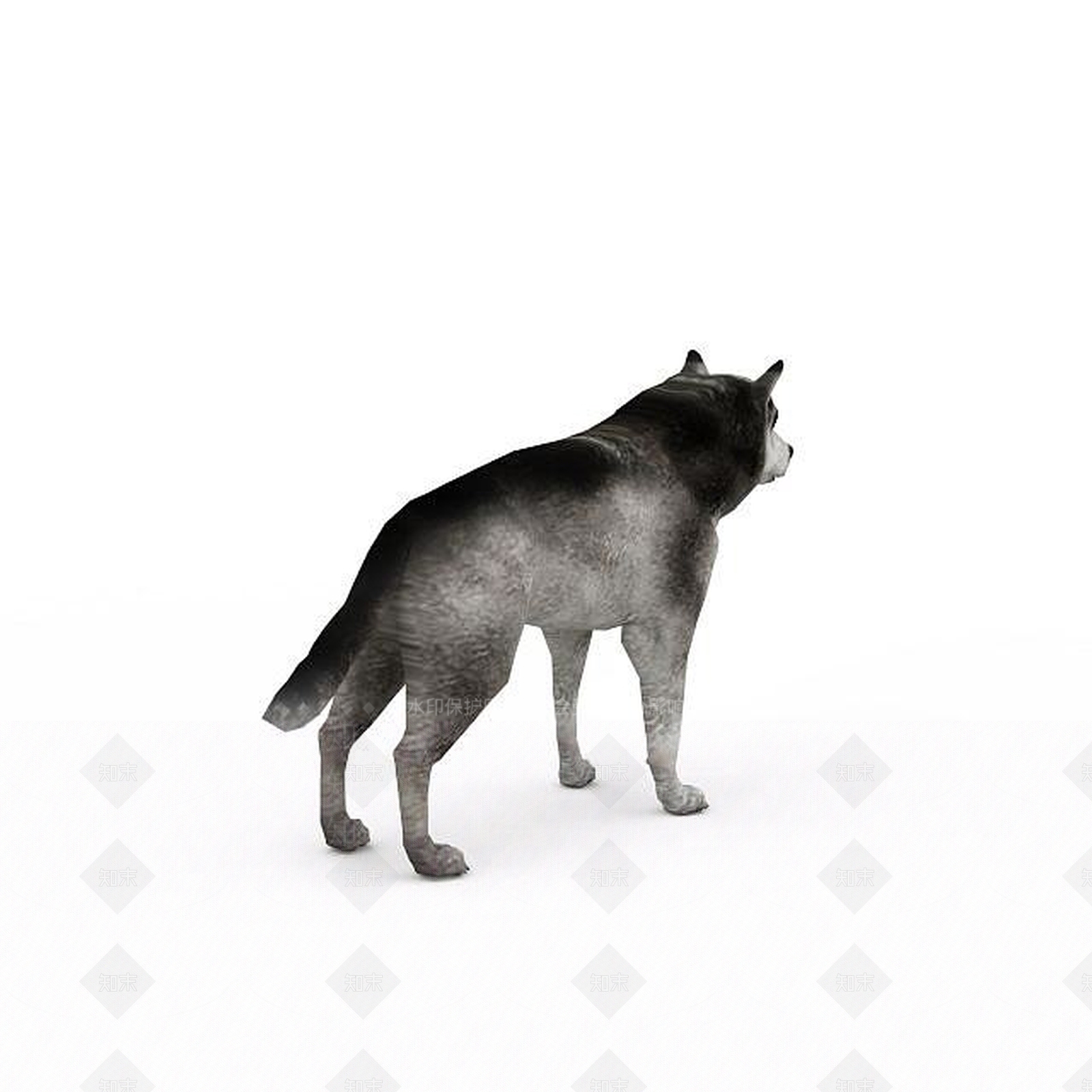 现代爬行类动物3D模型下载【ID:1198958597】