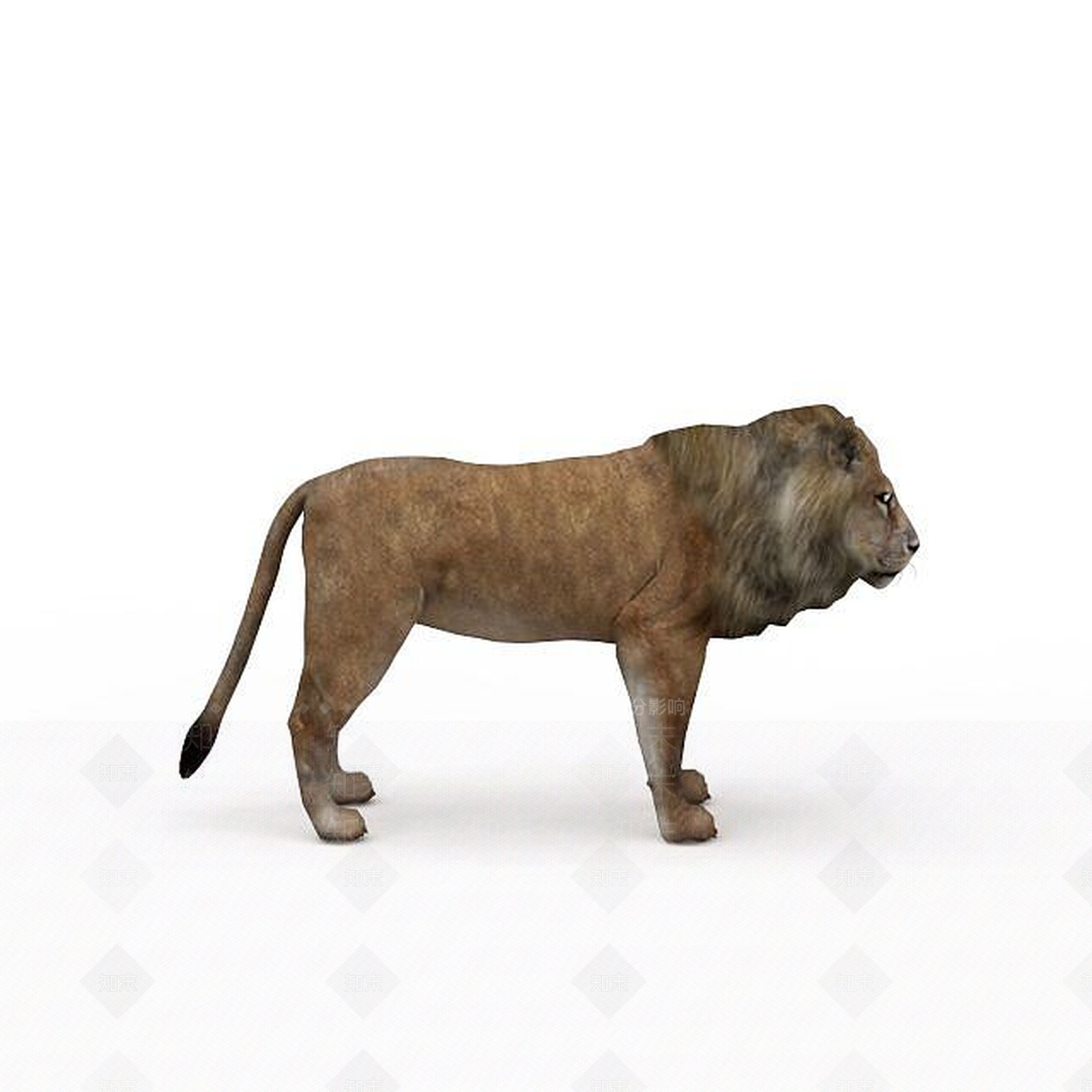 现代爬行类动物3D模型下载【ID:1198958408】