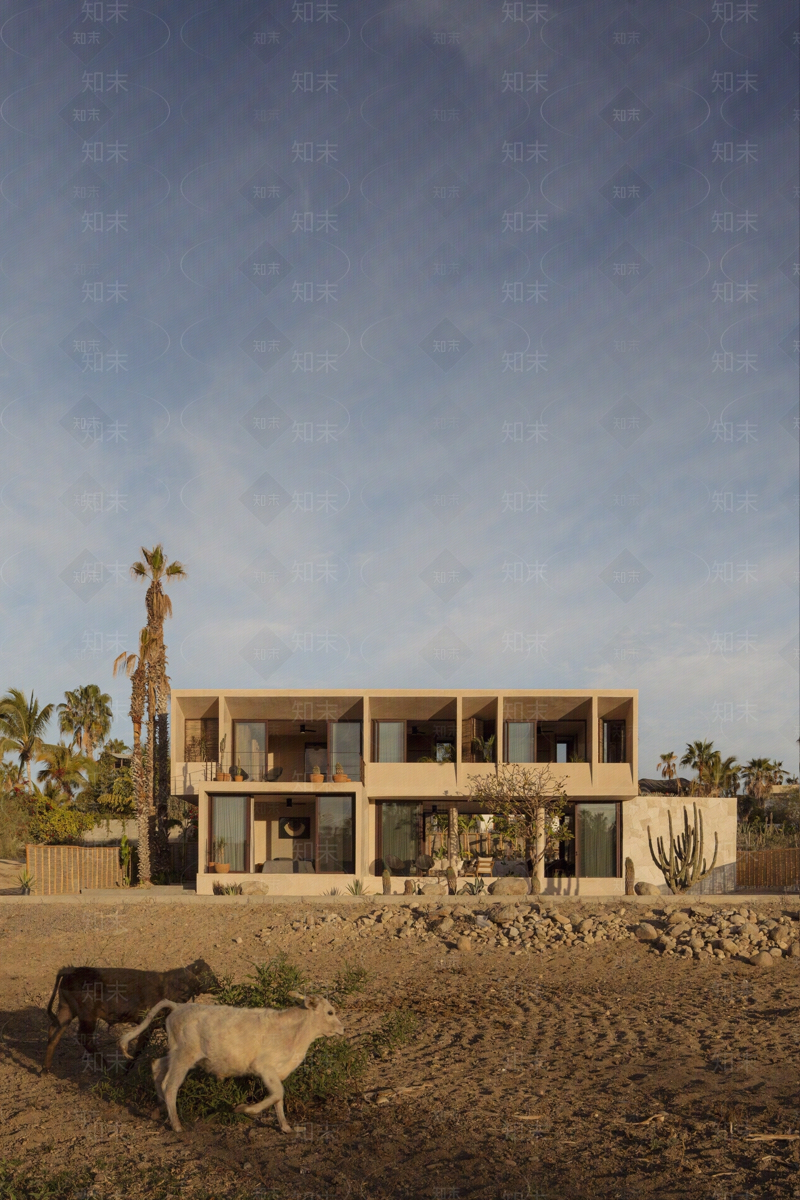 现代侘寂小区外景贴图下载【ID:1194334423】