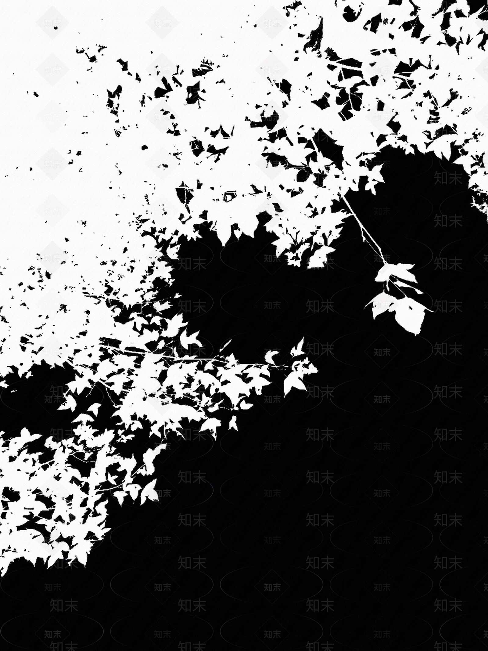 现代树影贴图下载【ID:1194334521】