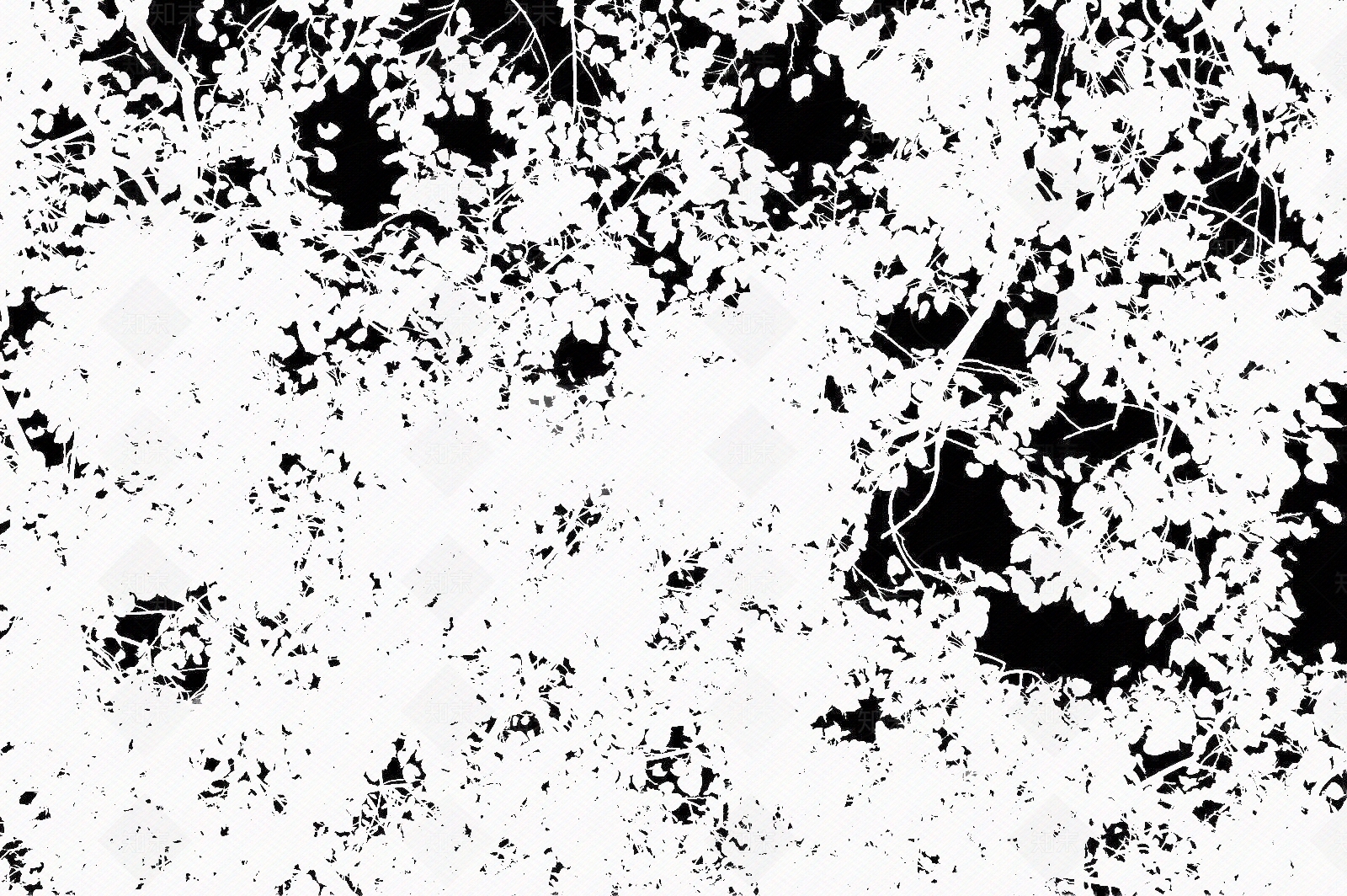 现代树影贴图下载【ID:1194334731】