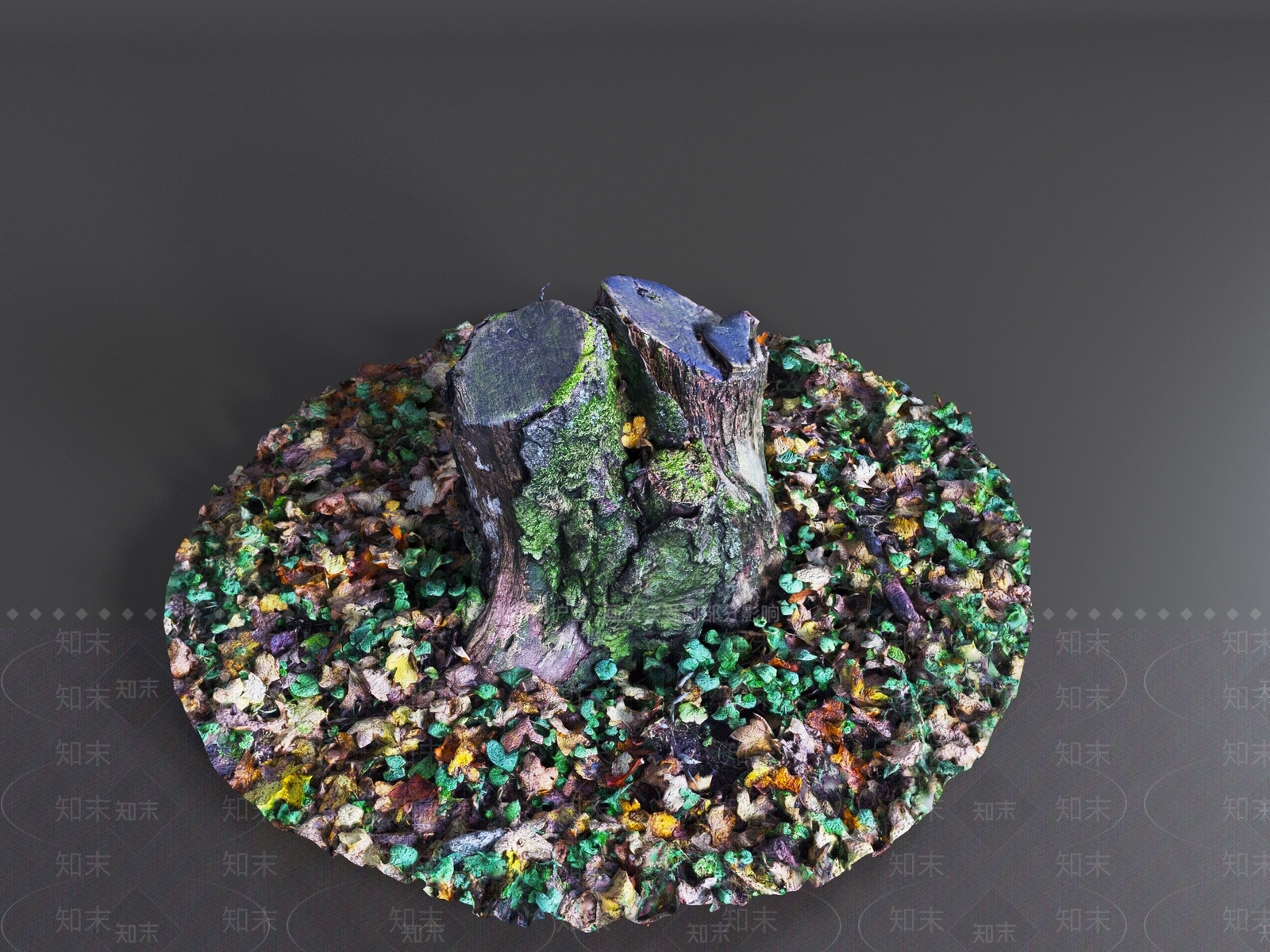 其他树木3D模型下载【ID:1194339736】