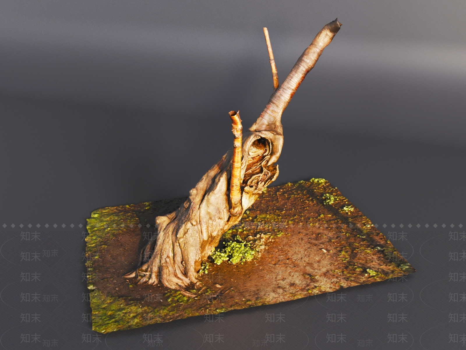 其他树木3D模型下载【ID:1194352650】