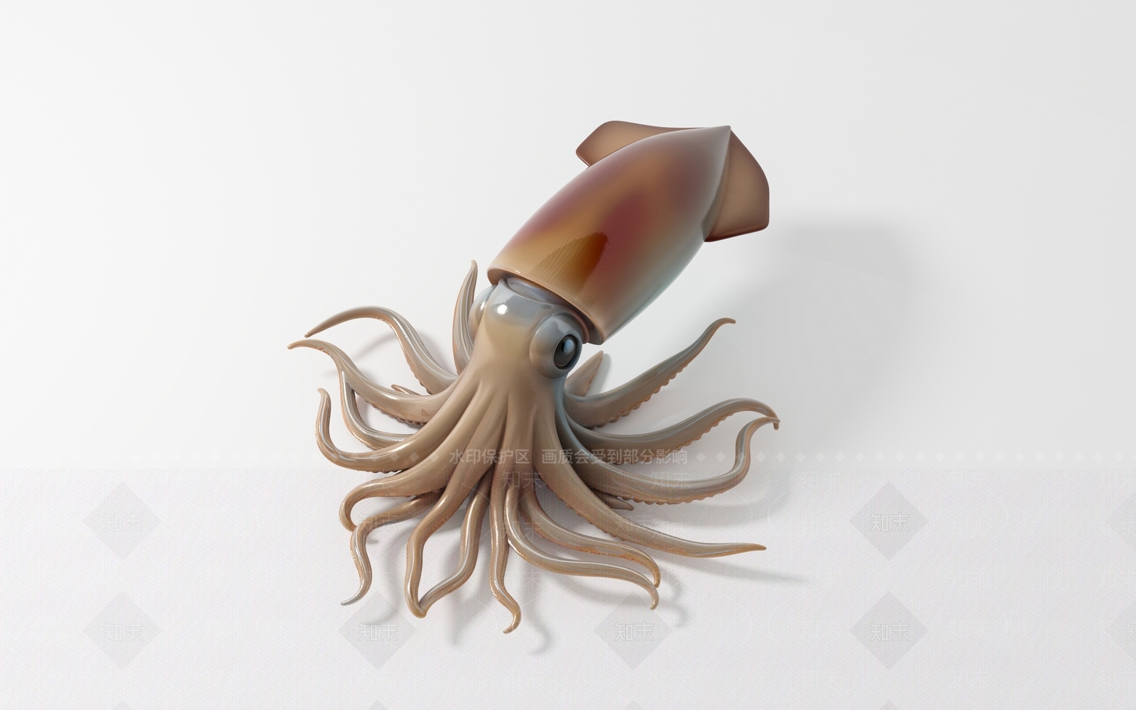水生类动物3D模型下载【ID:1194371730】