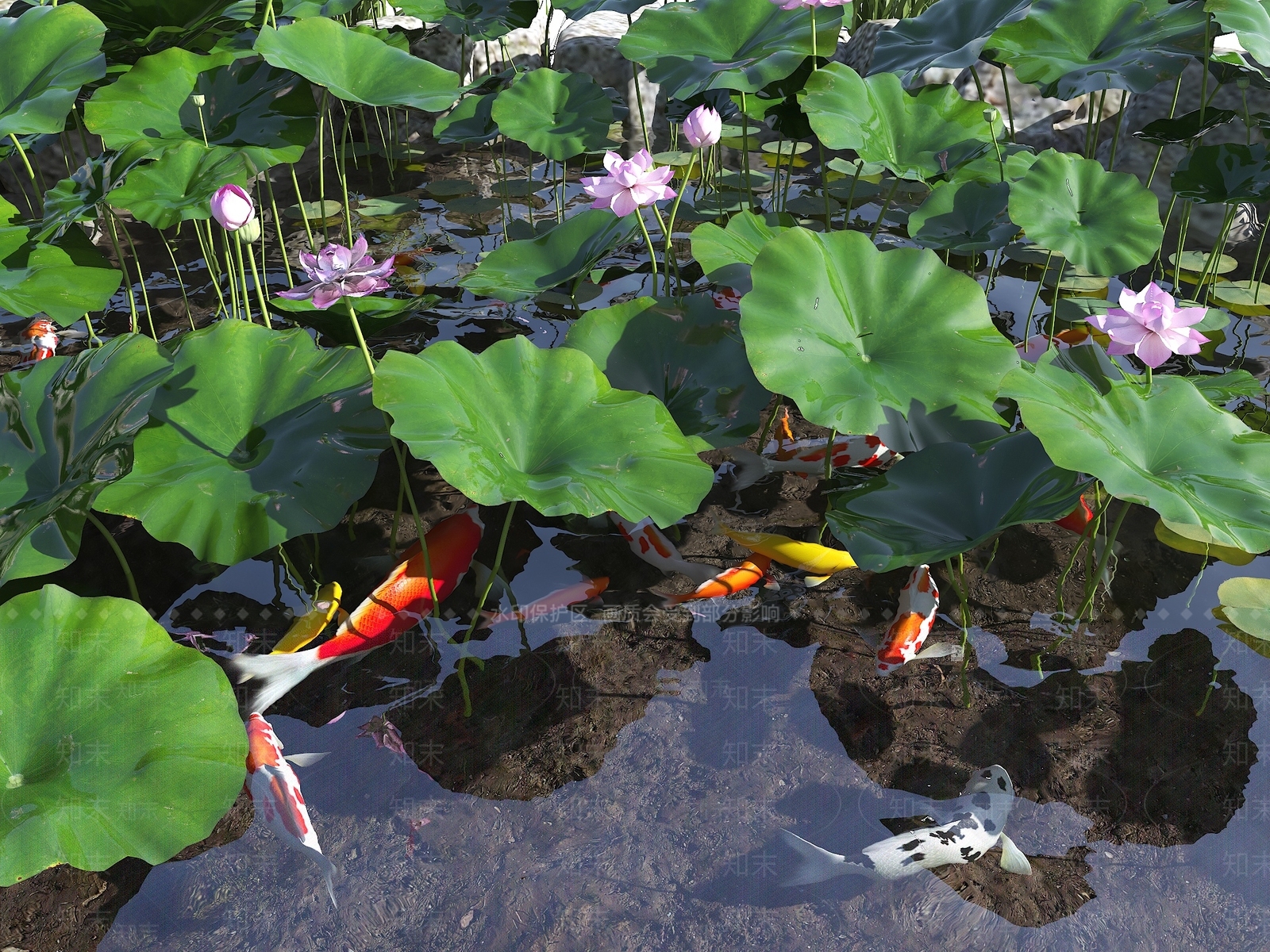 水生植物SU模型下载【ID:1194425301】