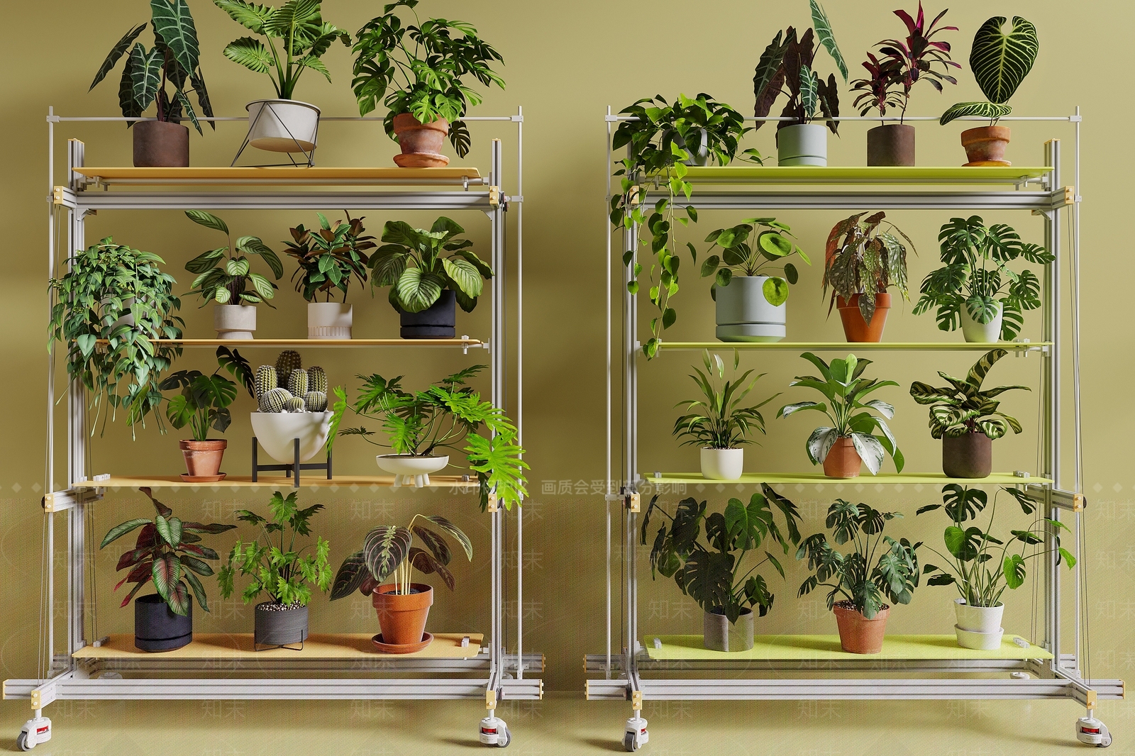 绿植摆件3D模型渲染效果图