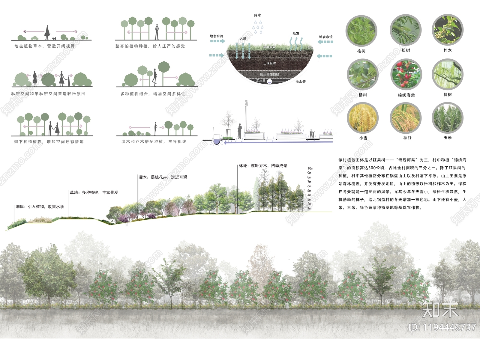 植物分析图设计素材精品下载_知末网