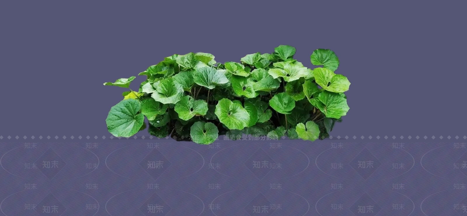 花草SU模型下载【ID:1194464926】