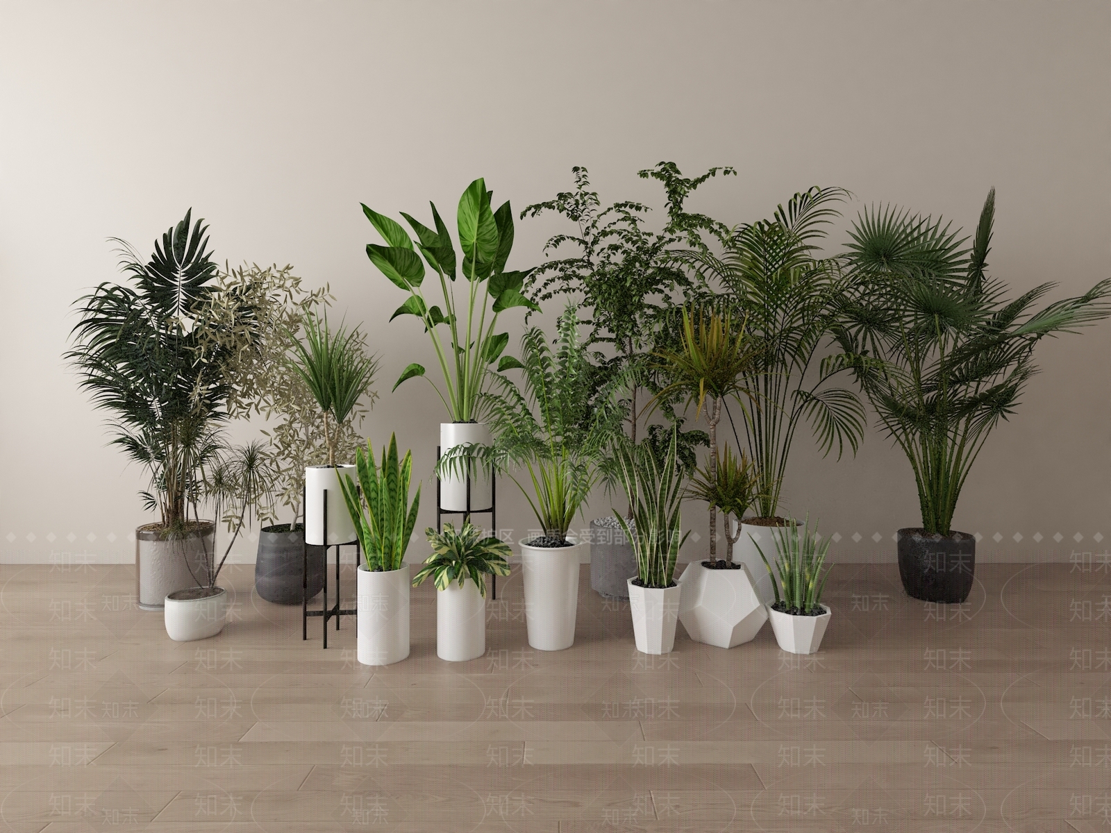 其他绿植3D模型下载【ID:1194484781】