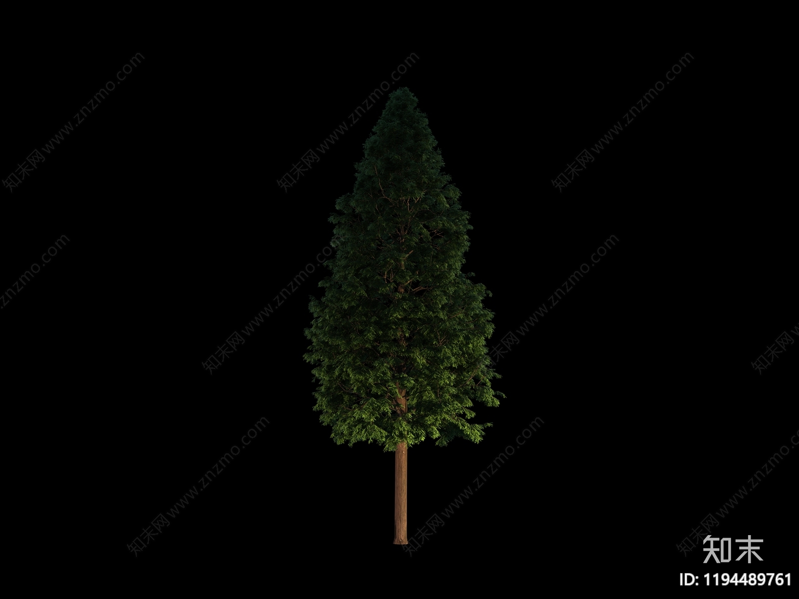 现代乔木下载【ID:1194489761】