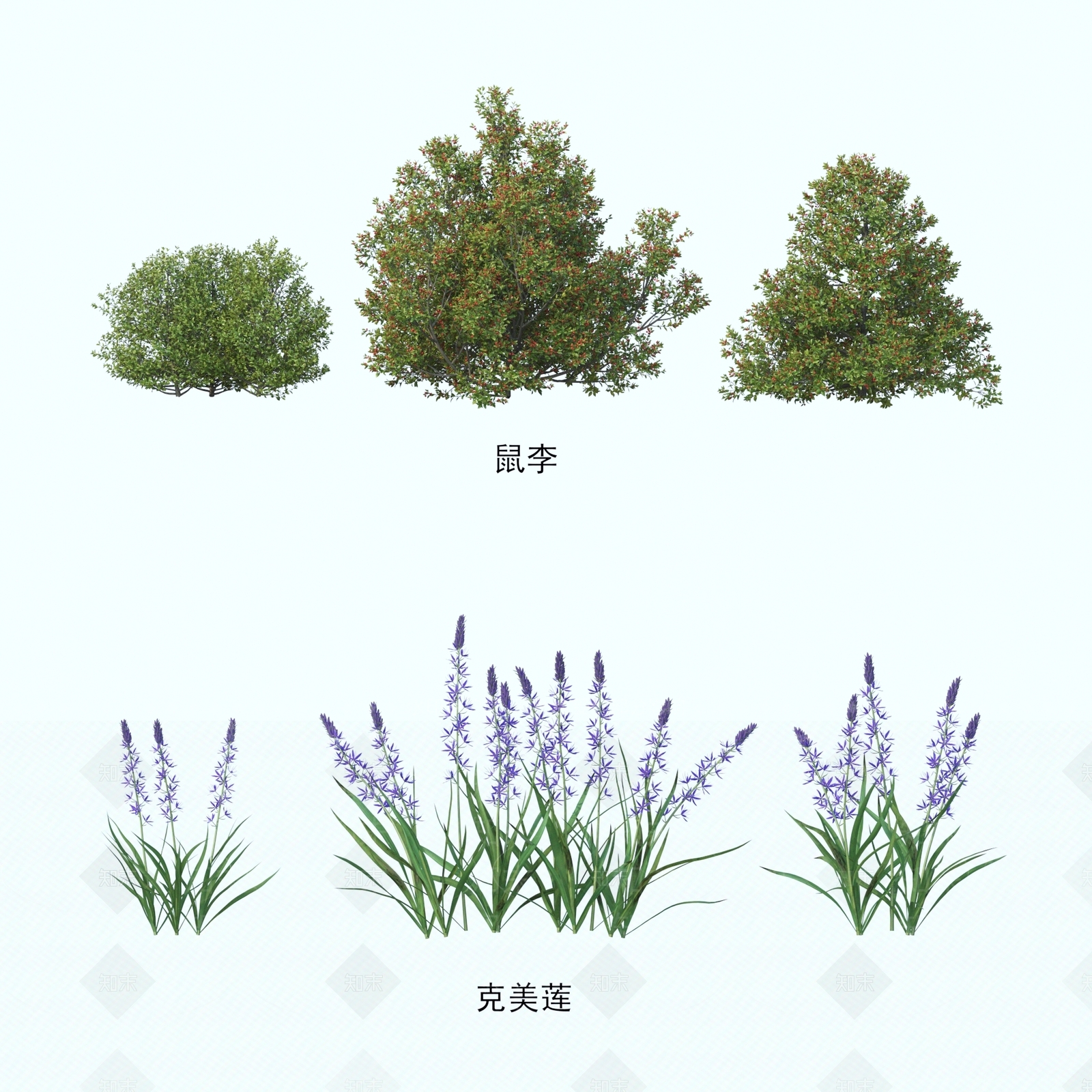 灌木3D模型下载【ID:1194503127】