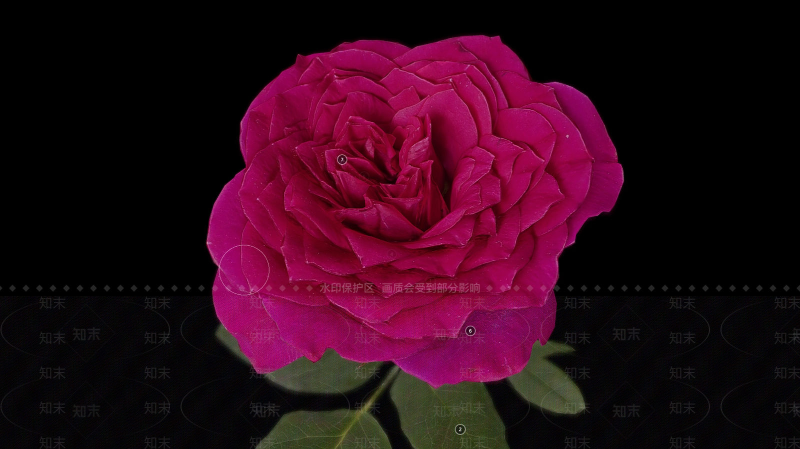 花3D模型下载【ID:1194511700】