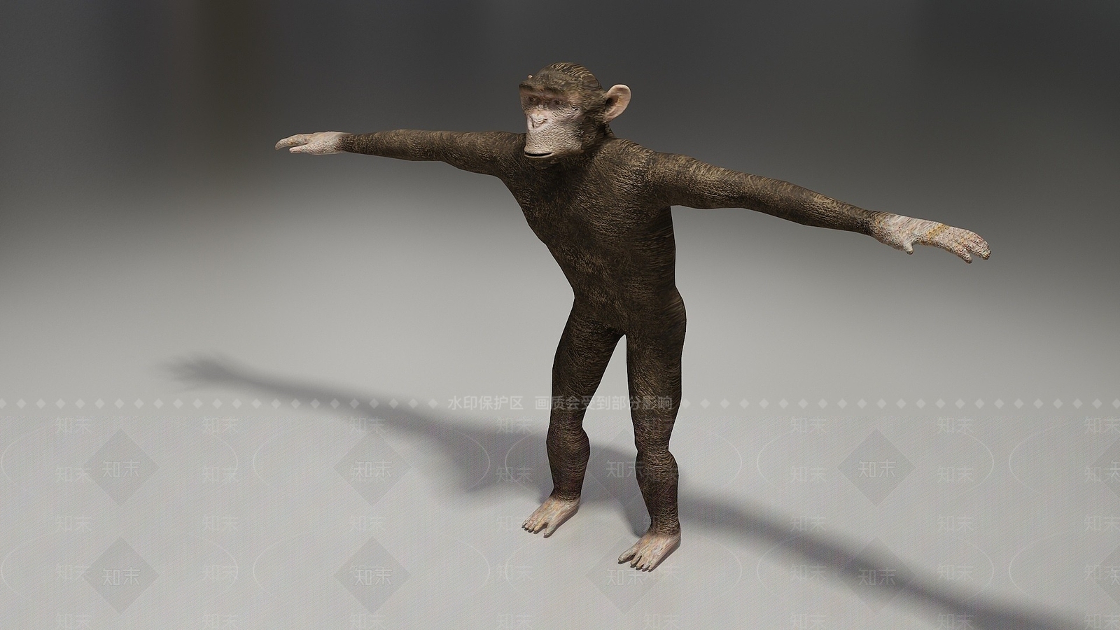 现代长臂猿3D模型下载【ID:1194520984】