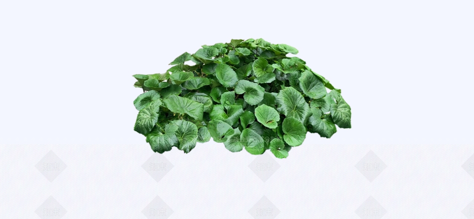 灌木SU模型下载【ID:1194547134】