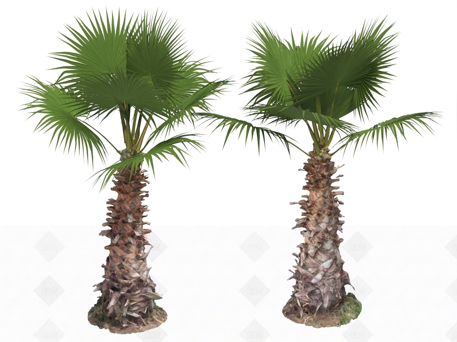 景观树3D模型下载【ID:1194572695】
